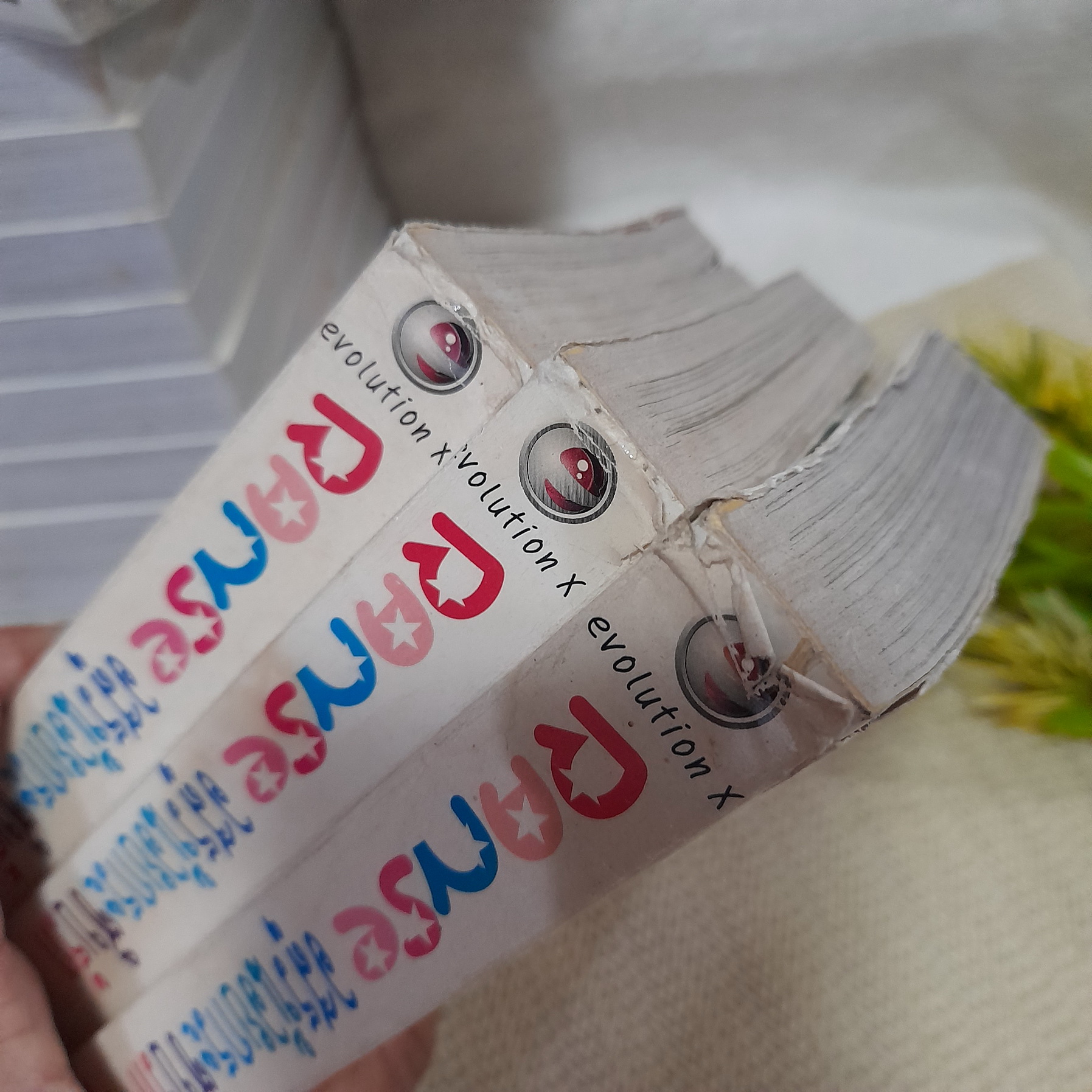 RANSE อสูรน้อยกระซิบรัก เล่ม 1-16 จบ