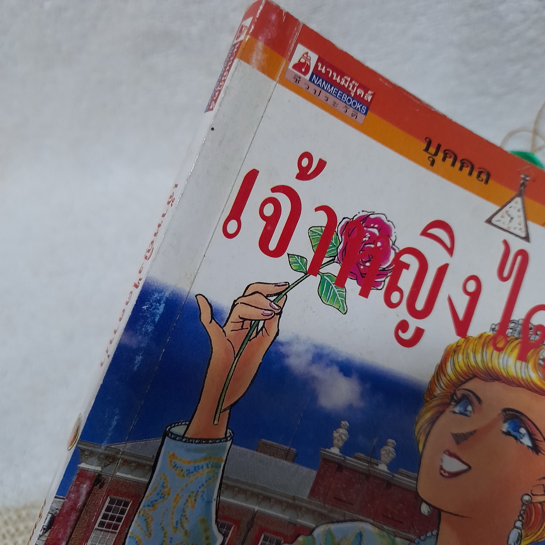 การ์ตูนชุด บุคคลที่น่ารู้จัก : เจ้าหญิงไดอาน่า