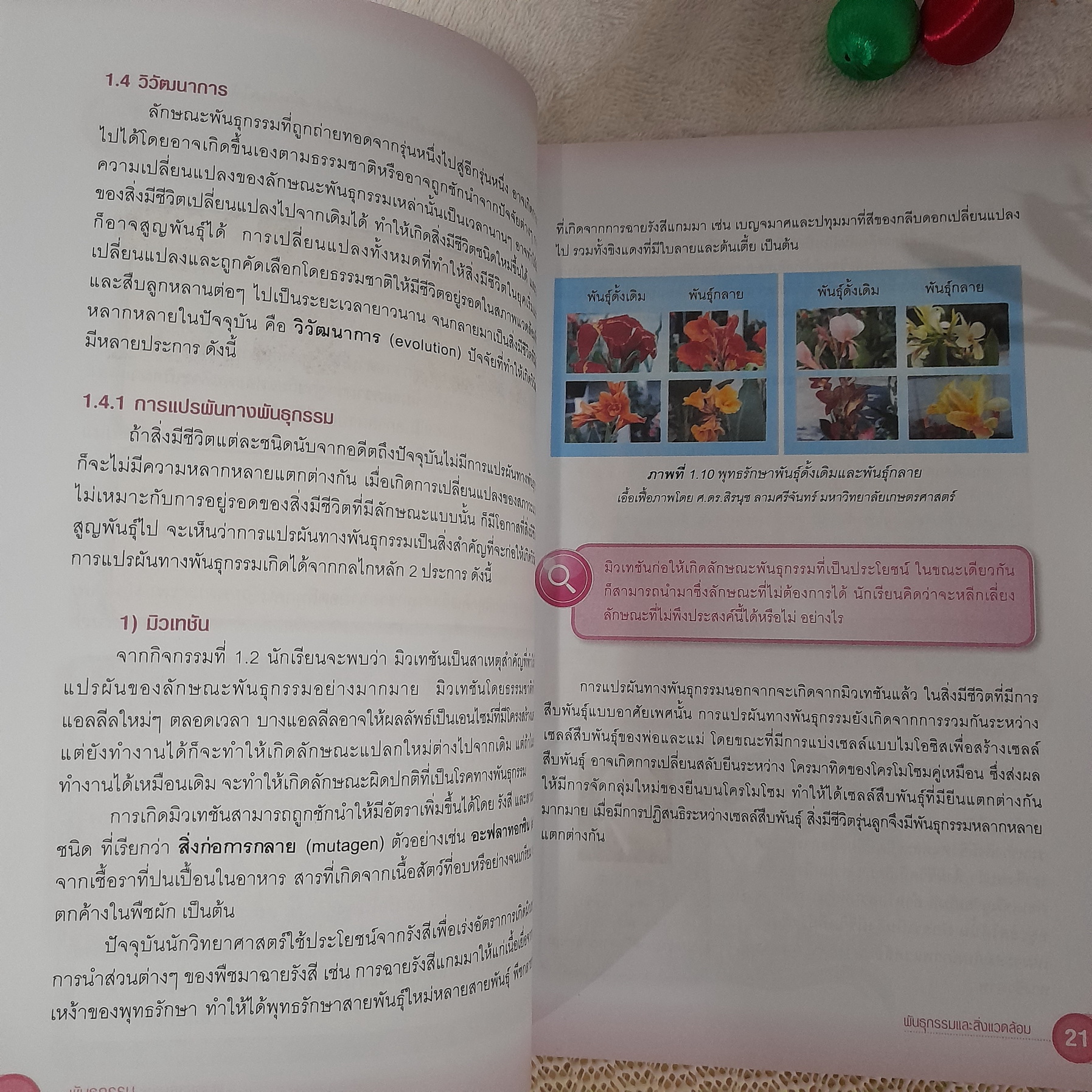 พันธุกรรมและสิ่งแวดล้อม ชั้น ม. 4-6 สำหรับนักเรียนที่ไม่เน้นวิทยาศาสตร์