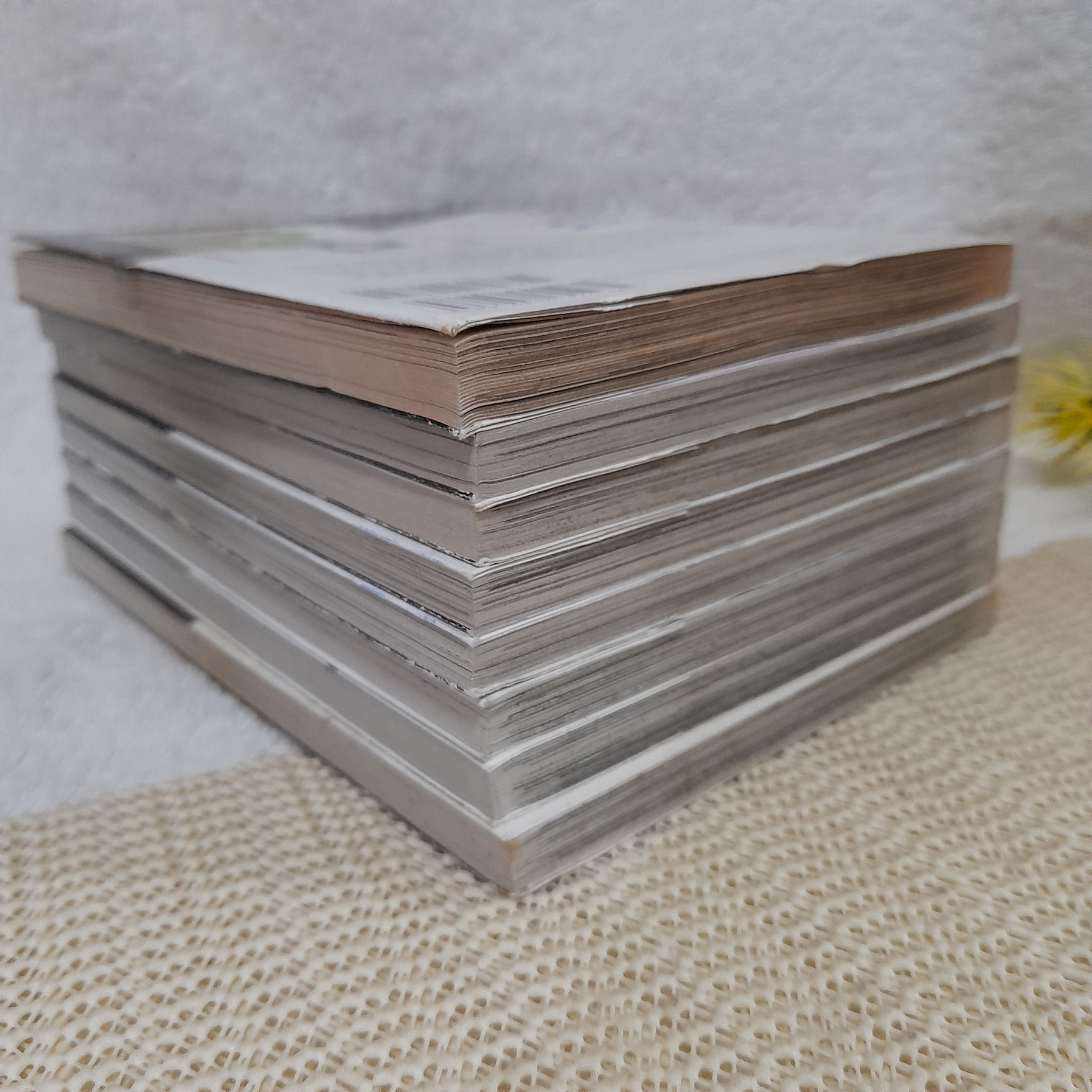 เจ้าหญิงตัวร้ายกับนายจอมยุ่ง 1-8 จบ / Yasuko Sakuno