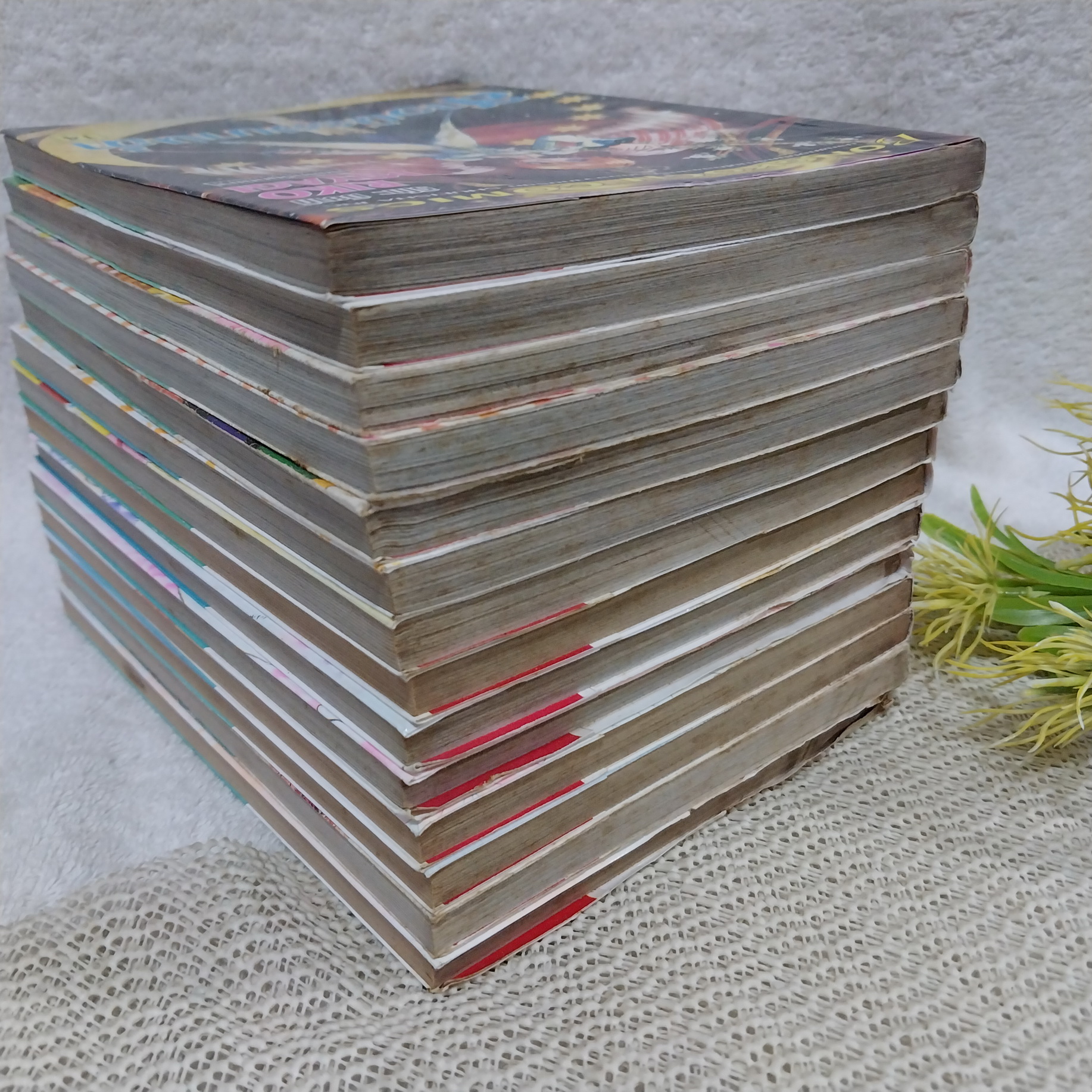 สาวน้อยบานฉ่ำ 1-14 ไม่จบ / * ขาดเล่ม 15-16