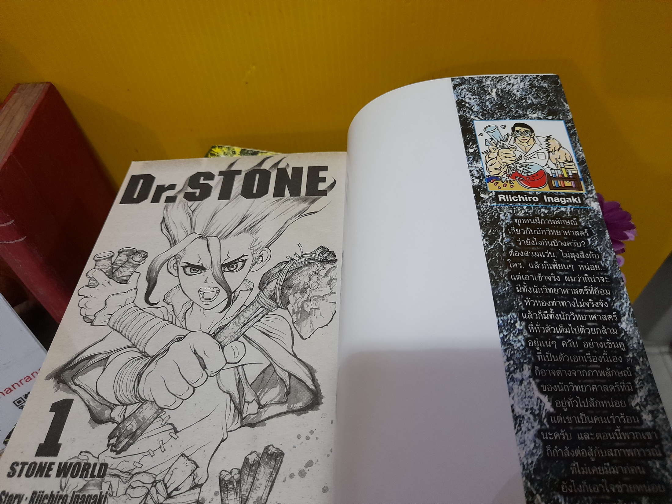 Dr.Stone 1-10 ไม่จบ (ล่าสุดออกถึงเล่ม 15)