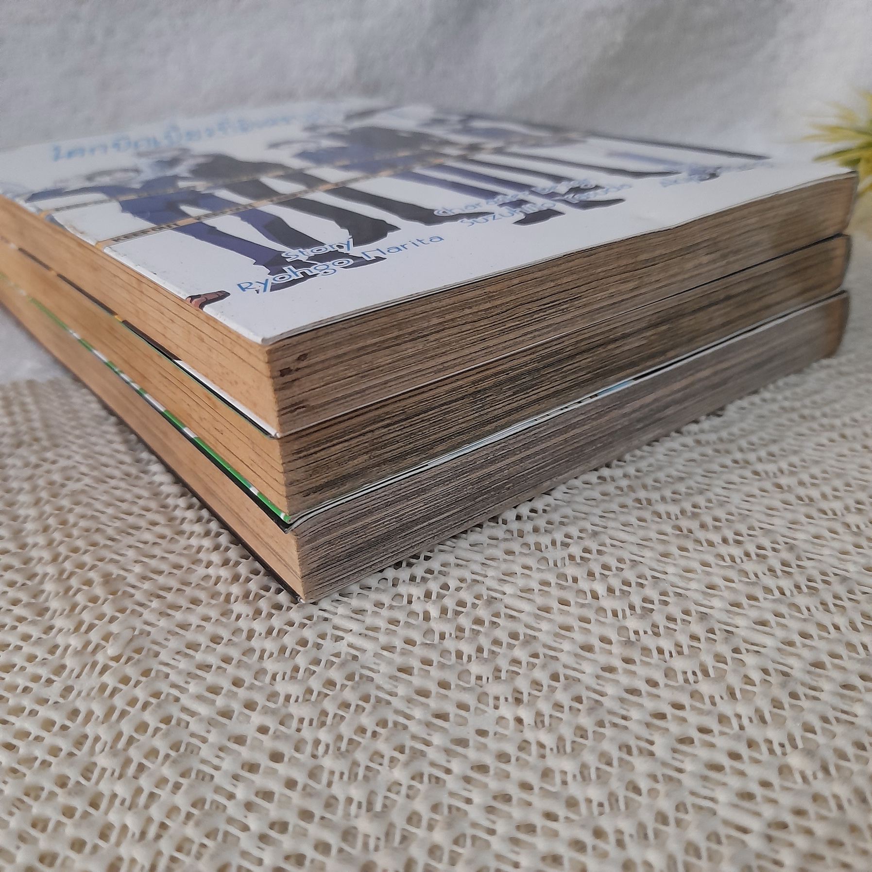 DURARARA โลกบิดเบี้ยวที่อิเคะบุคุโระ 1-3 ไม่จบ / * ขาดเล่ม 4