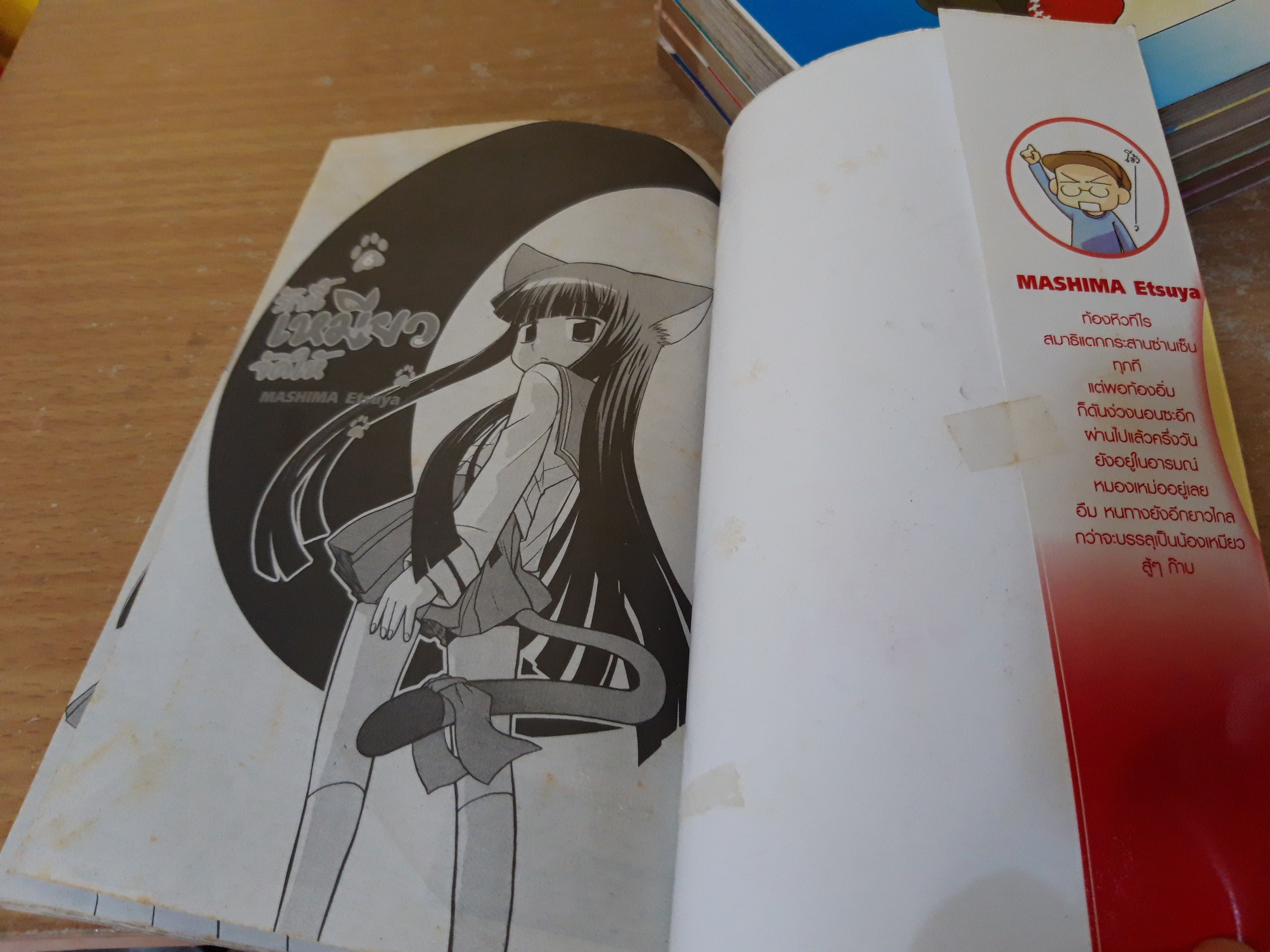 รักนี้เหมียวจัดให้ 1-6 ไม่จบ / *ขาดเล่ม 7,8