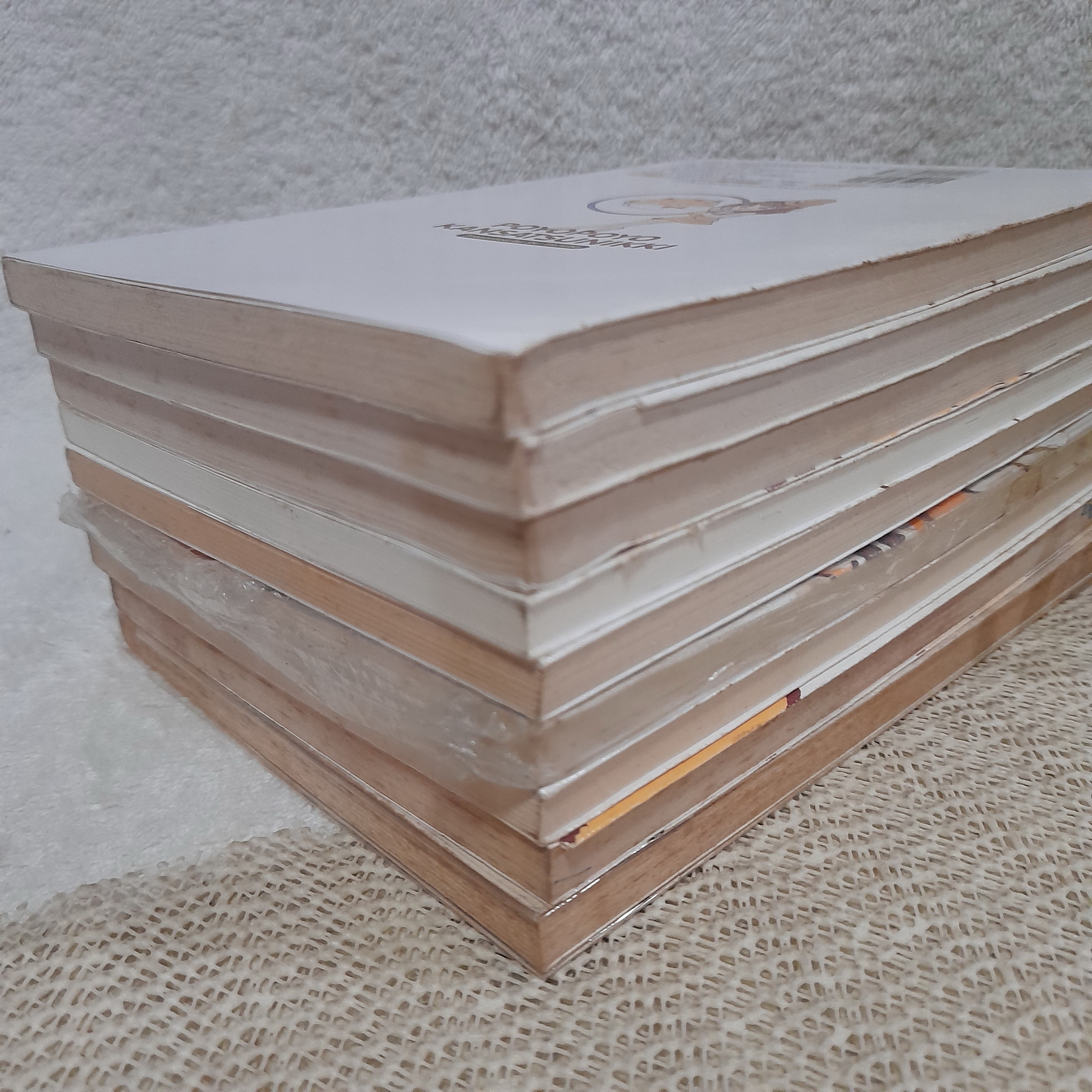 โลกบ้องแบ๊วของแมวตัวกลม 1-9 ไม่จบ