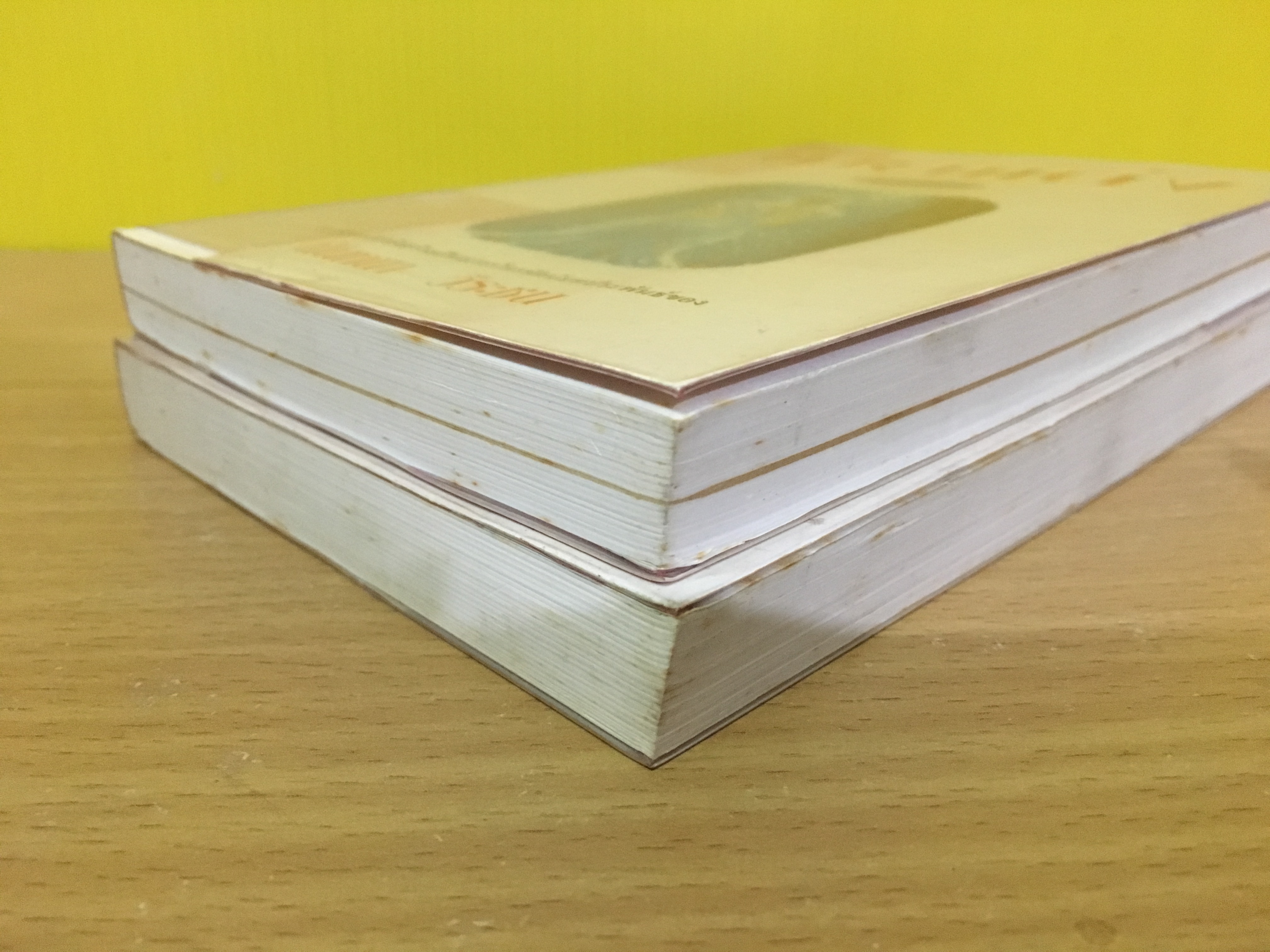 เมียแต่ง / นันทนา วีรชน