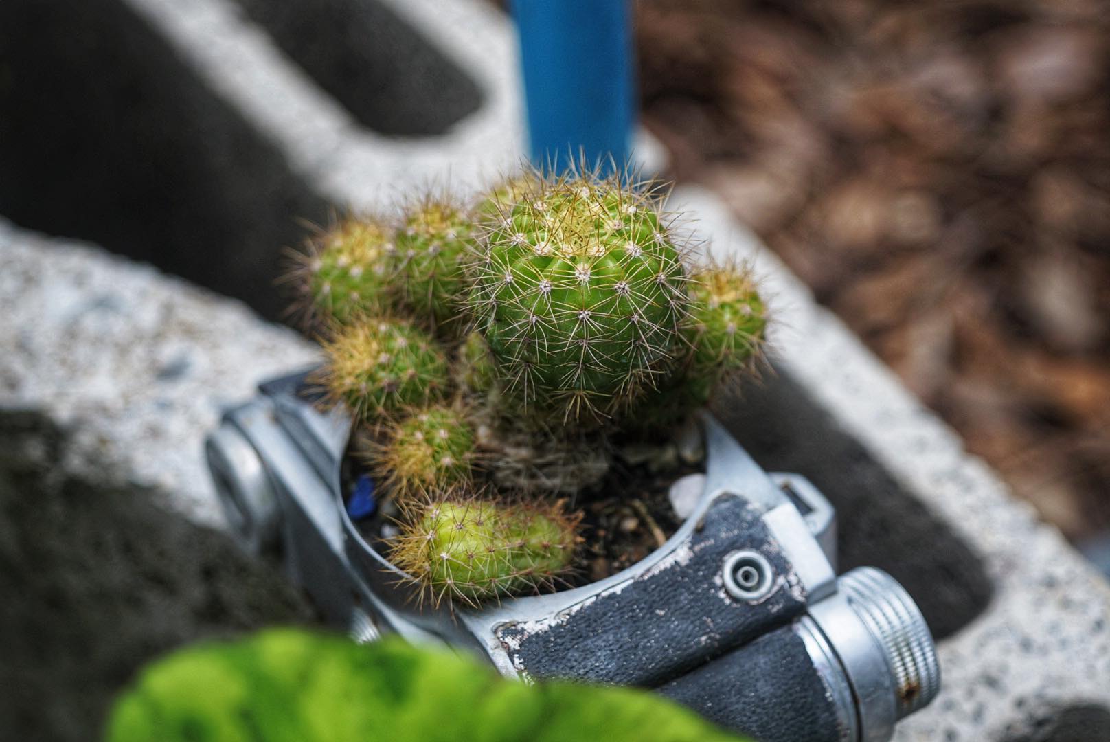 NIKON EL-NIKKOR 50MM.F4 MODIFIED SONY E MOUNT