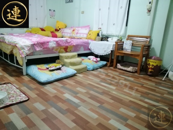 ลายเสื่อน้ำมัน มาใหม่ 23 พฤษภาคม 2563