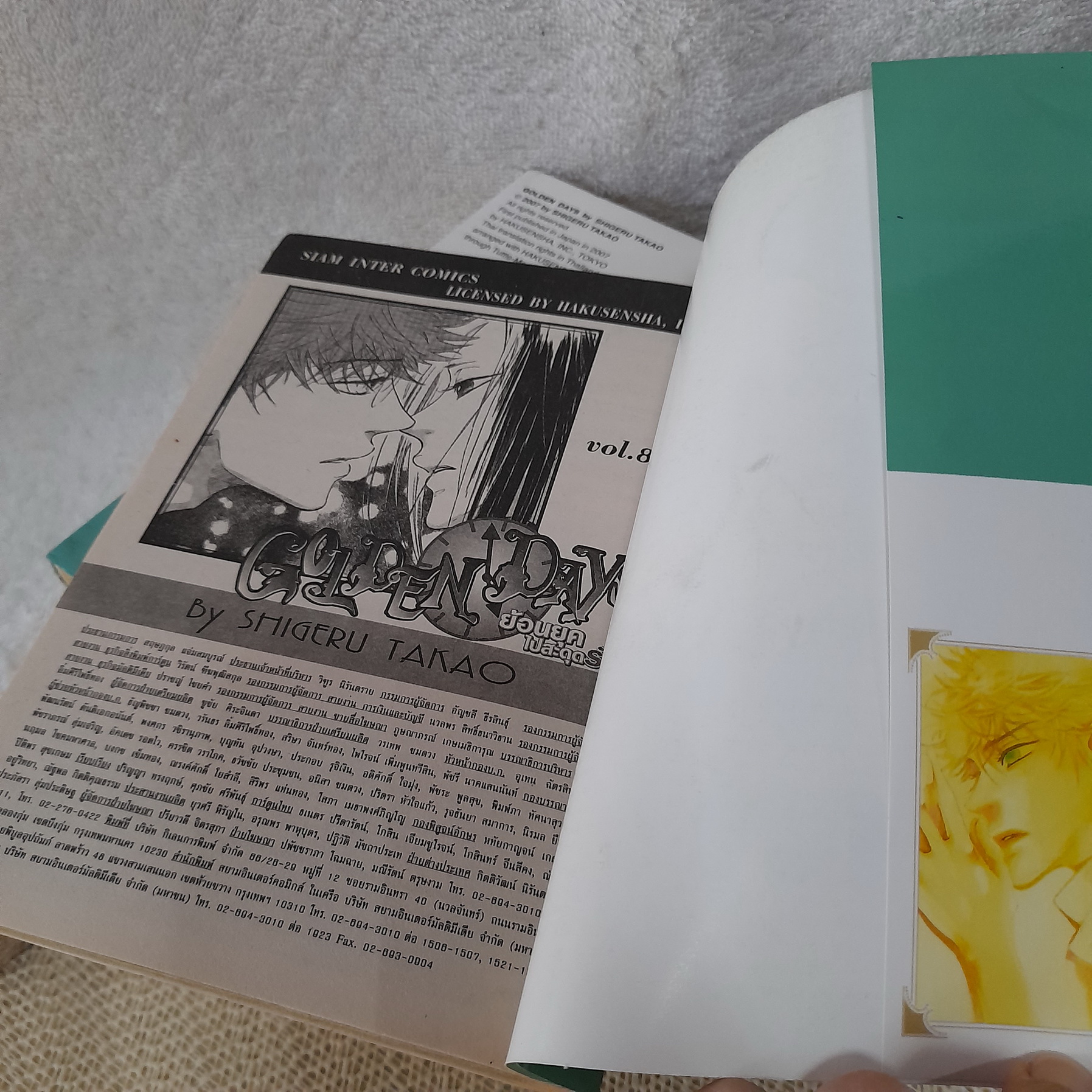 Golden Days ย้อนยุคไปสะดุดรัก 1-8 จบ