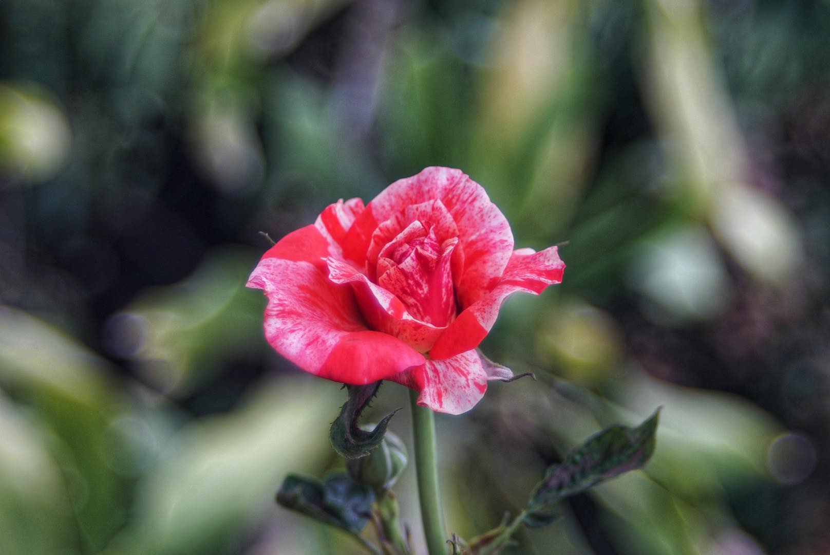 RMC TOKINA II 28-70MM. F3.5-4.5 MACRO NIKON AIS MOUNT