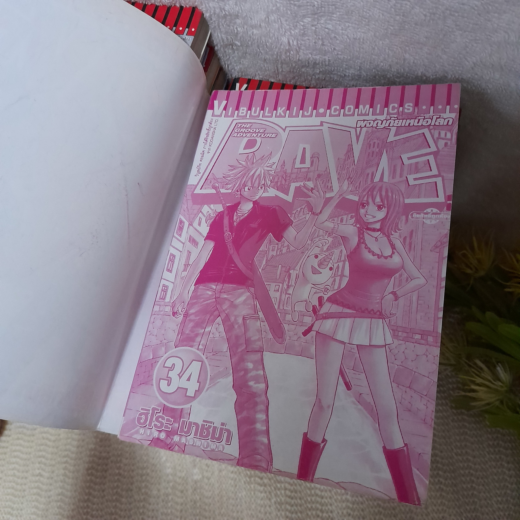 RAVE ผจญภัยเหนือโลก 1-35 จบ / * ขาดเล่ม 5,17,19