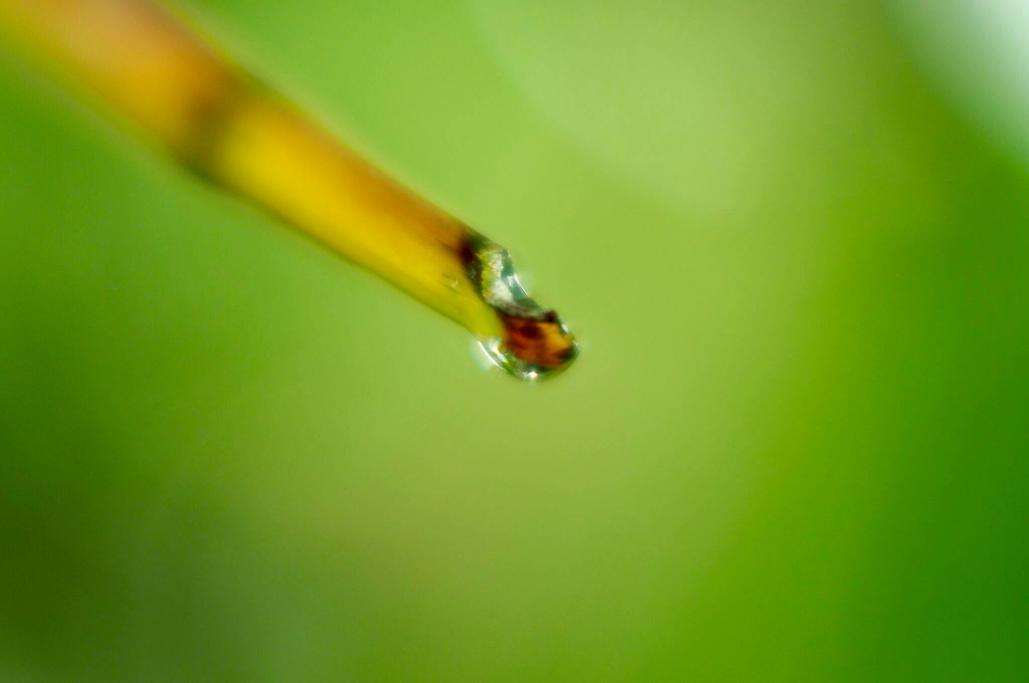 16KP-50MM.F1.2 MODIFY M4/3 MOUNT