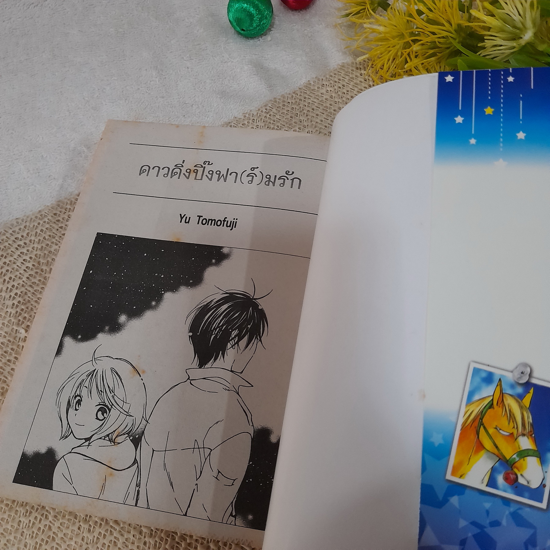 ดาวดิ่งปิ๊งฟา(ร์)มรัก