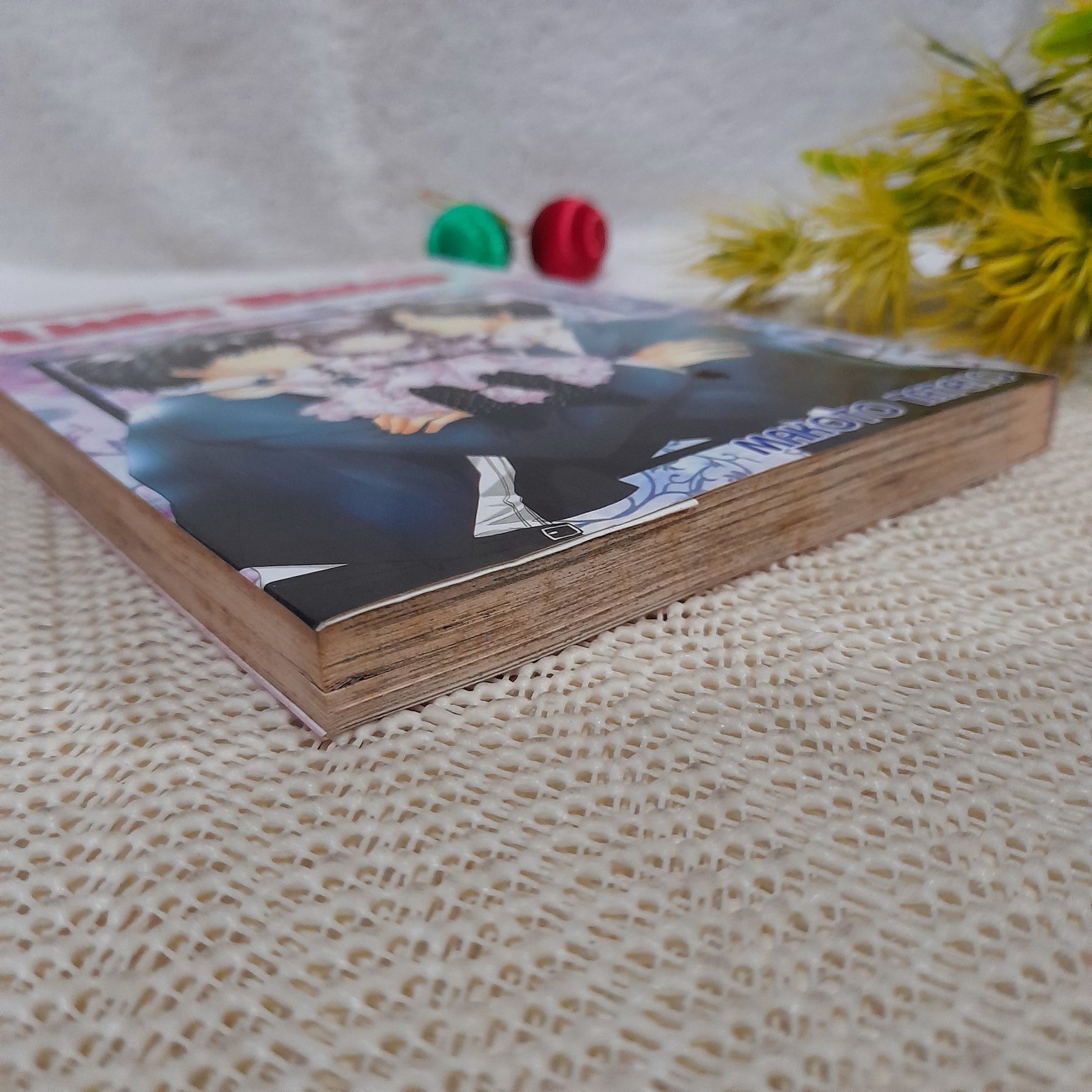 Little sister ลิตเติ้ล ซิสเตอร์