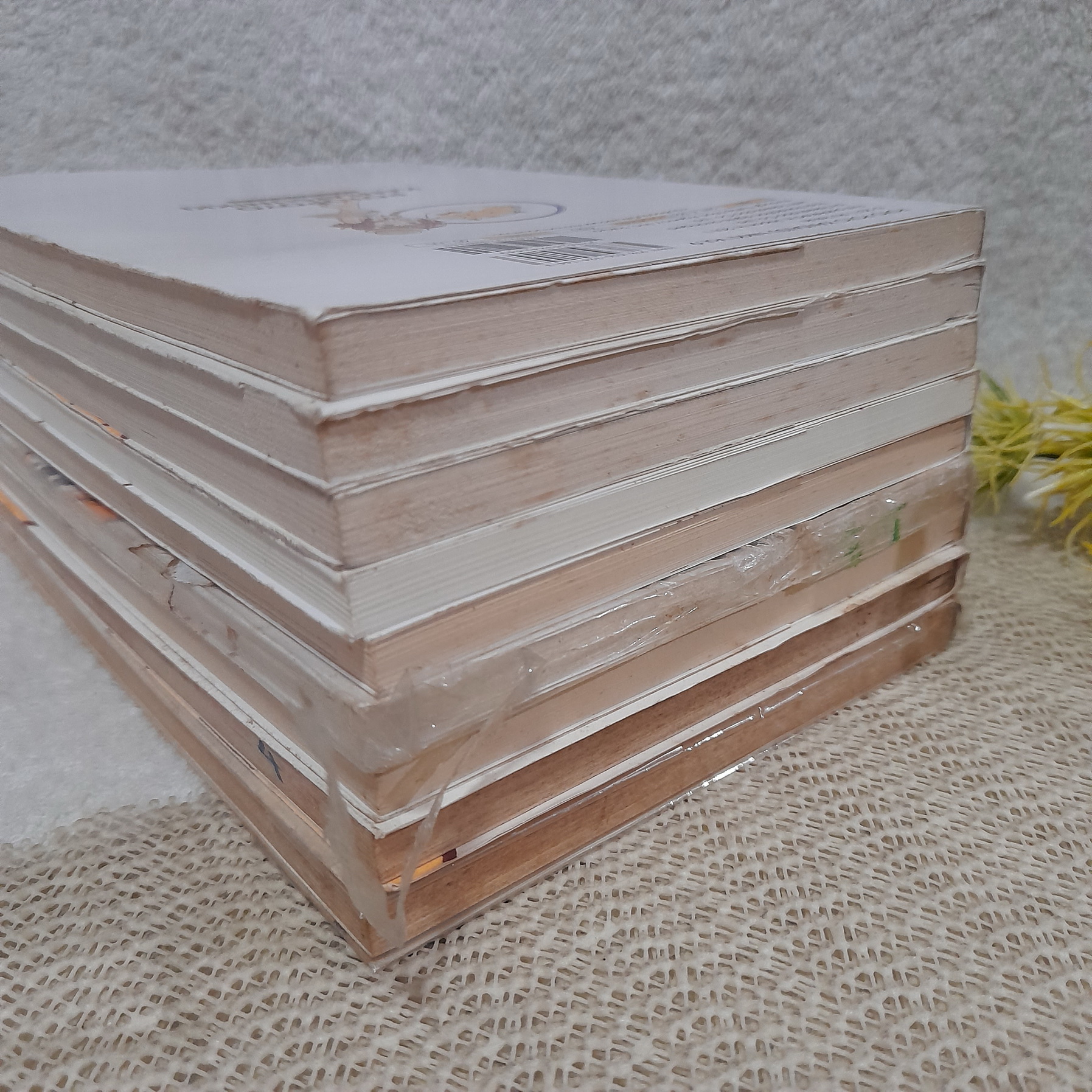 โลกบ้องแบ๊วของแมวตัวกลม 1-9 ไม่จบ