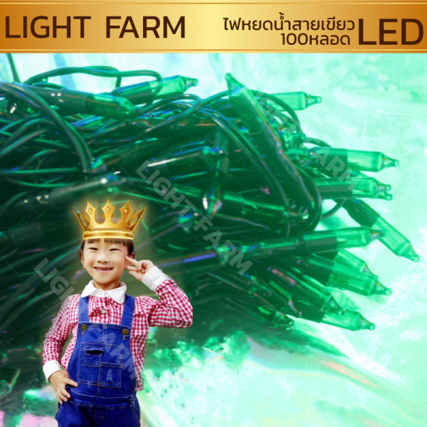ไฟหยดน้ำสายเขียวสีรวม ไฟประดับตกแต่ง ไฟหยดน้ำสายเขียว