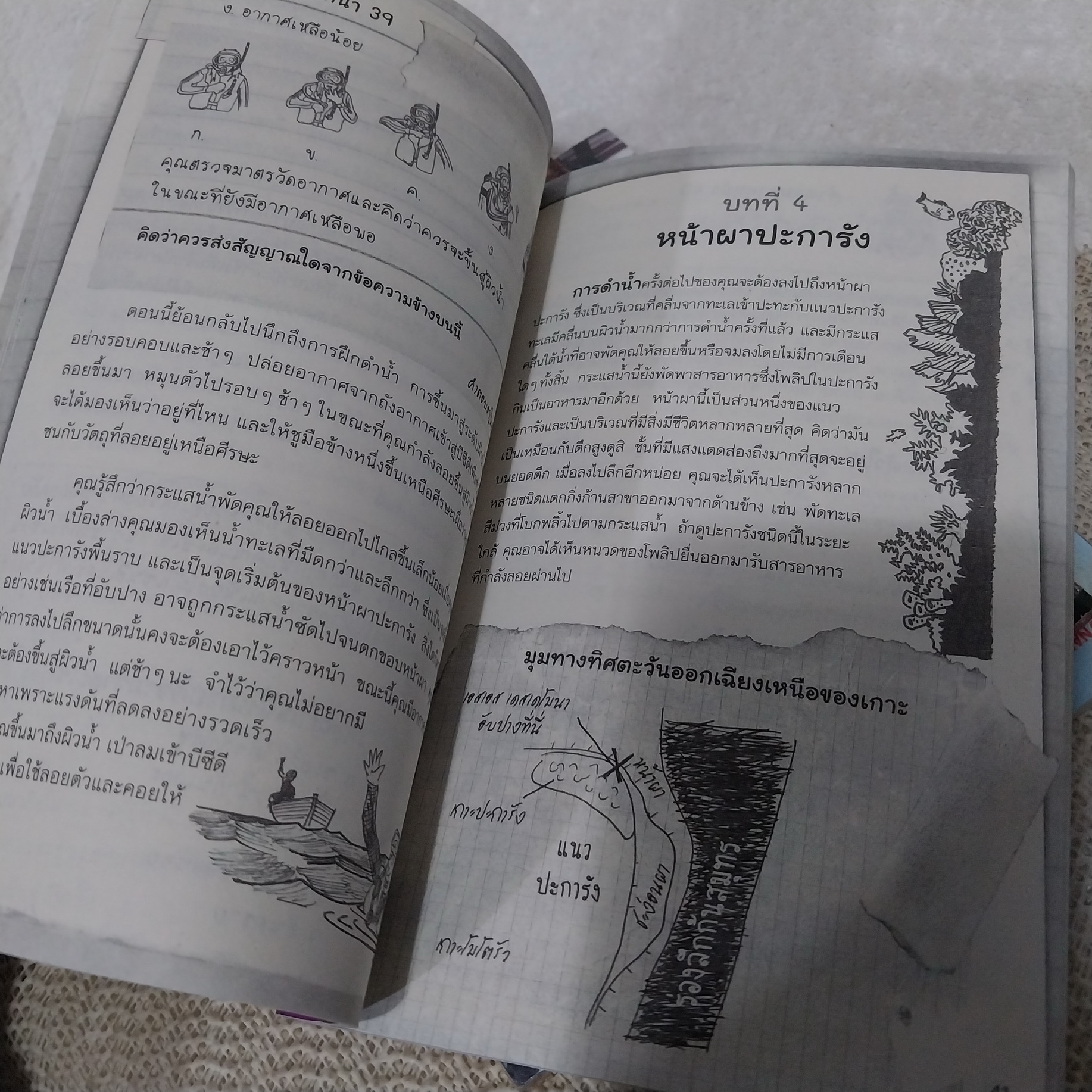 Explorers Wanted! : ล่าขุมทรัพย์ใต้ทะเล / ตะลุยป่าซาฟารี / ตามหาหลุมอุกกาบาตยักษ์ (ขายแยกเล่ม)