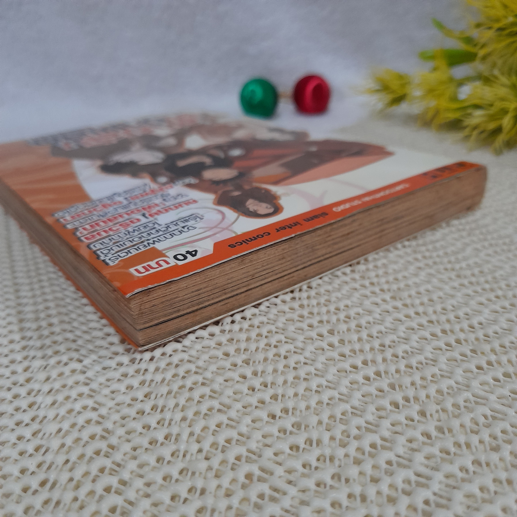 สายลับจับบ้านเล็ก