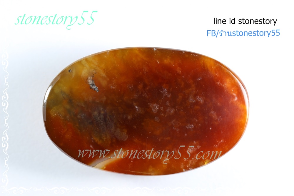 ฟอสซิลหิน