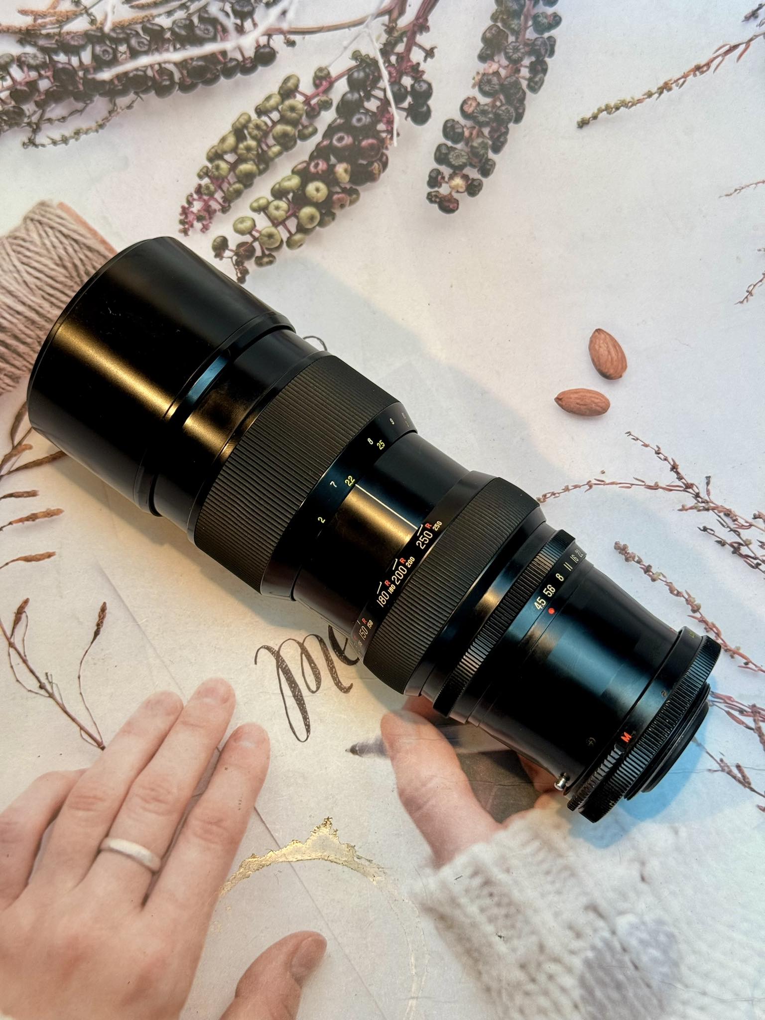 KOMURA 90-250mm f4.5 m42マウント SUPER-KOMURA Zoom 90-250mm F4.5 (SR mount) Photo Gallery by