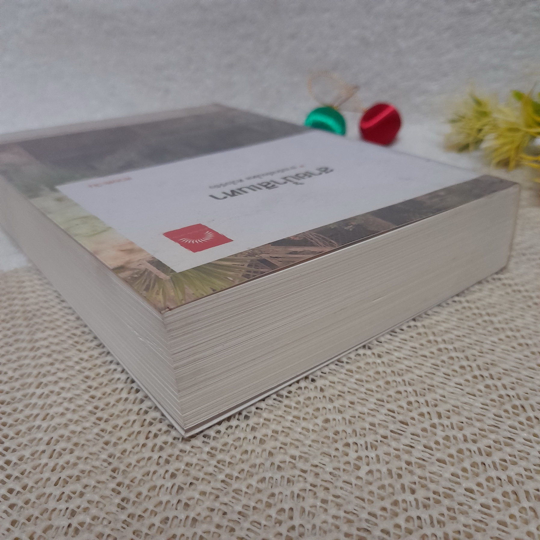 สายน้ำสิเนหา / ดวงตะวัน