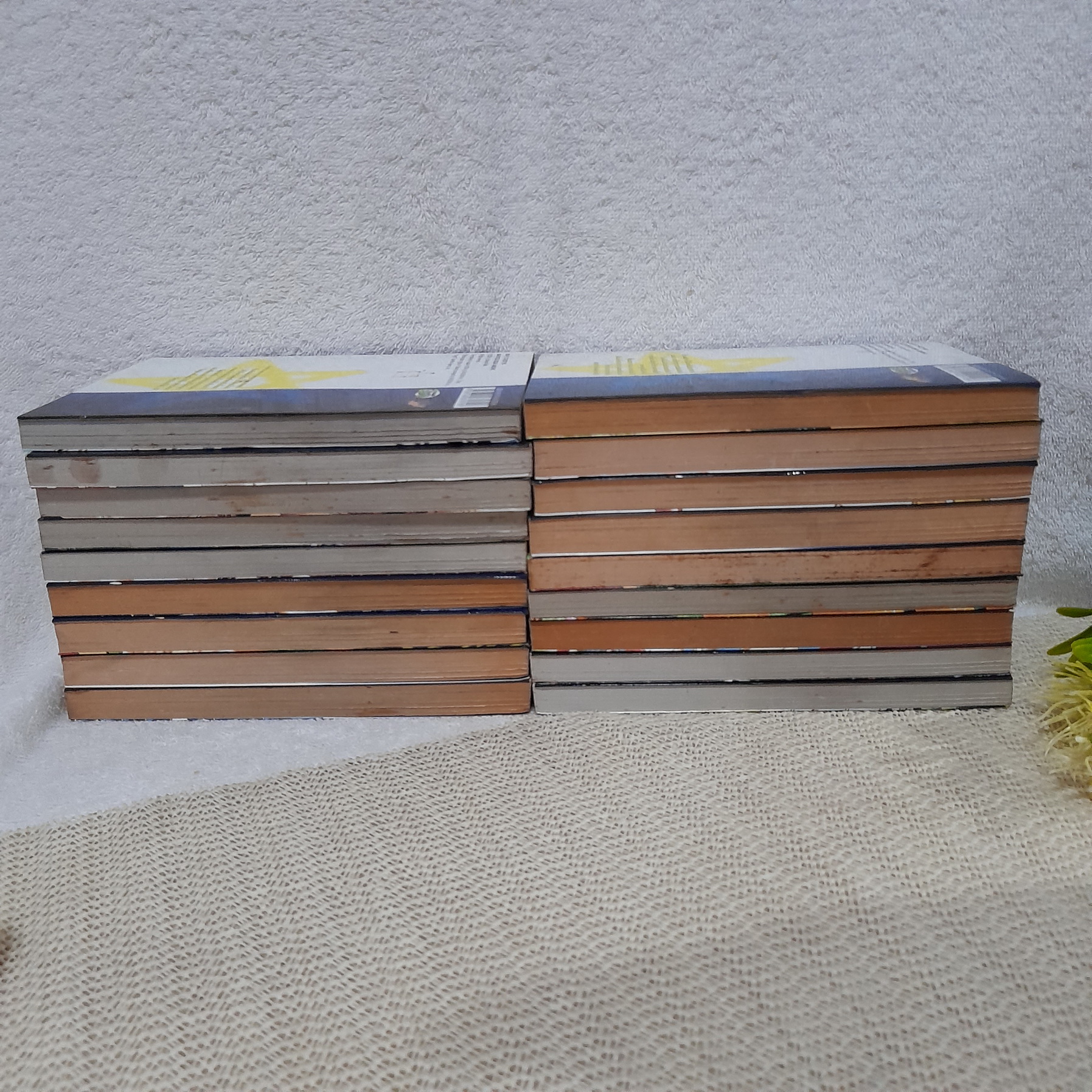 สำนักงานไขคดีสารพัดปีศาจของ มุเฮียว & โรซี่ 1-18 จบ