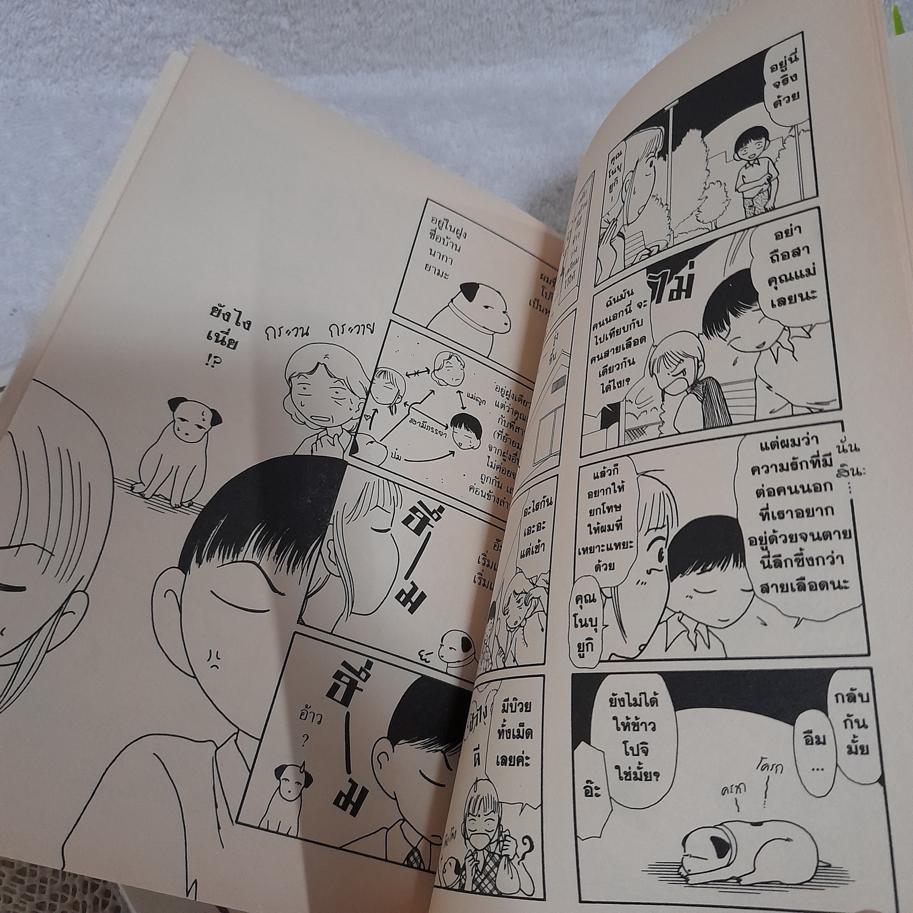 โปจิ น้องหมาฮายกครัว 1-3 ไม่จบ