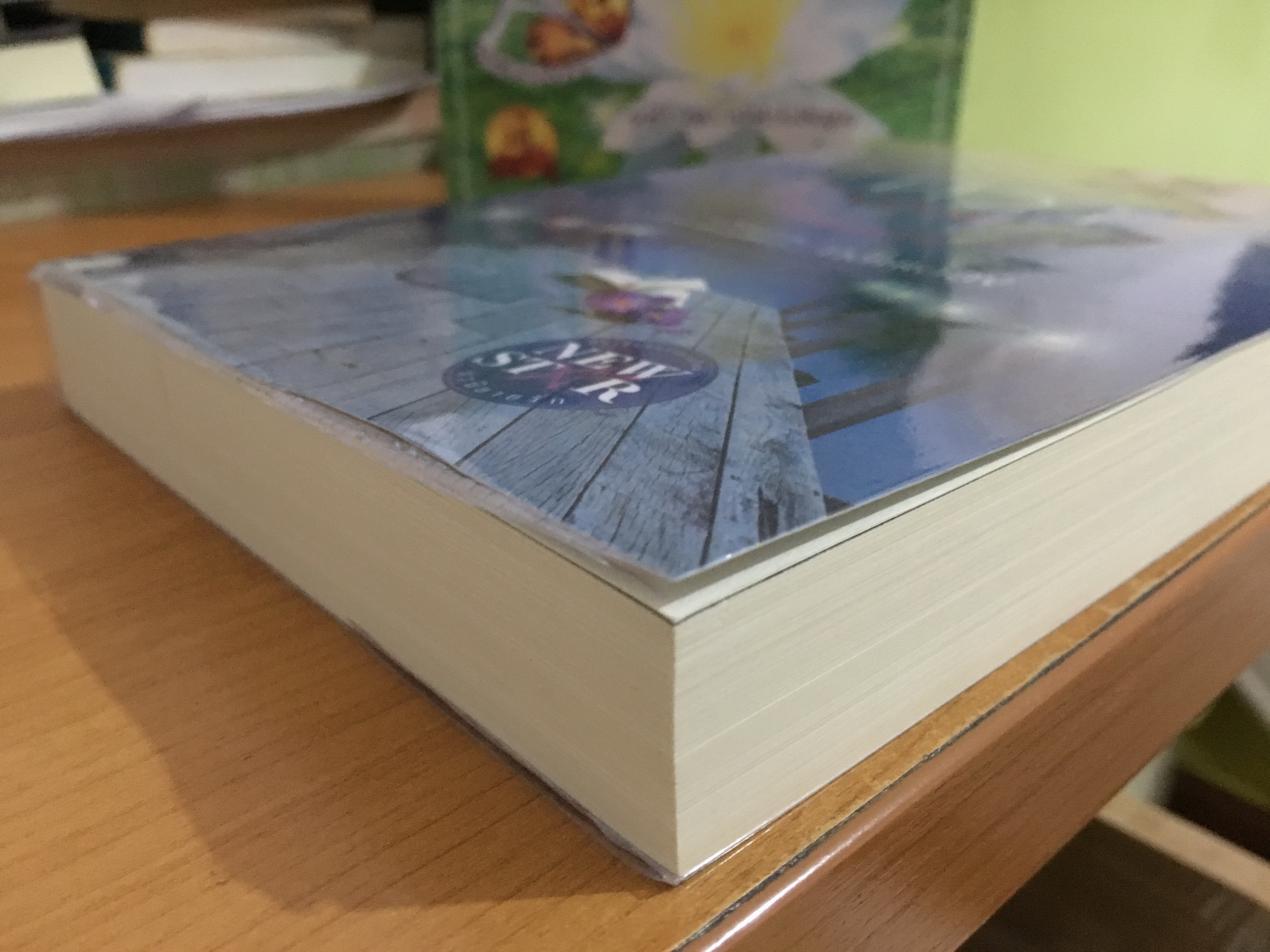 ทิวาพราวแสง / กลิ่นเอื้อง