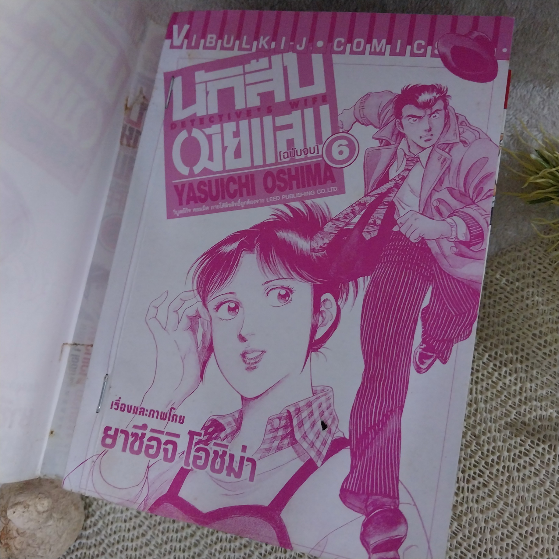 นักสืบเมียแสบ 1-6 จบ