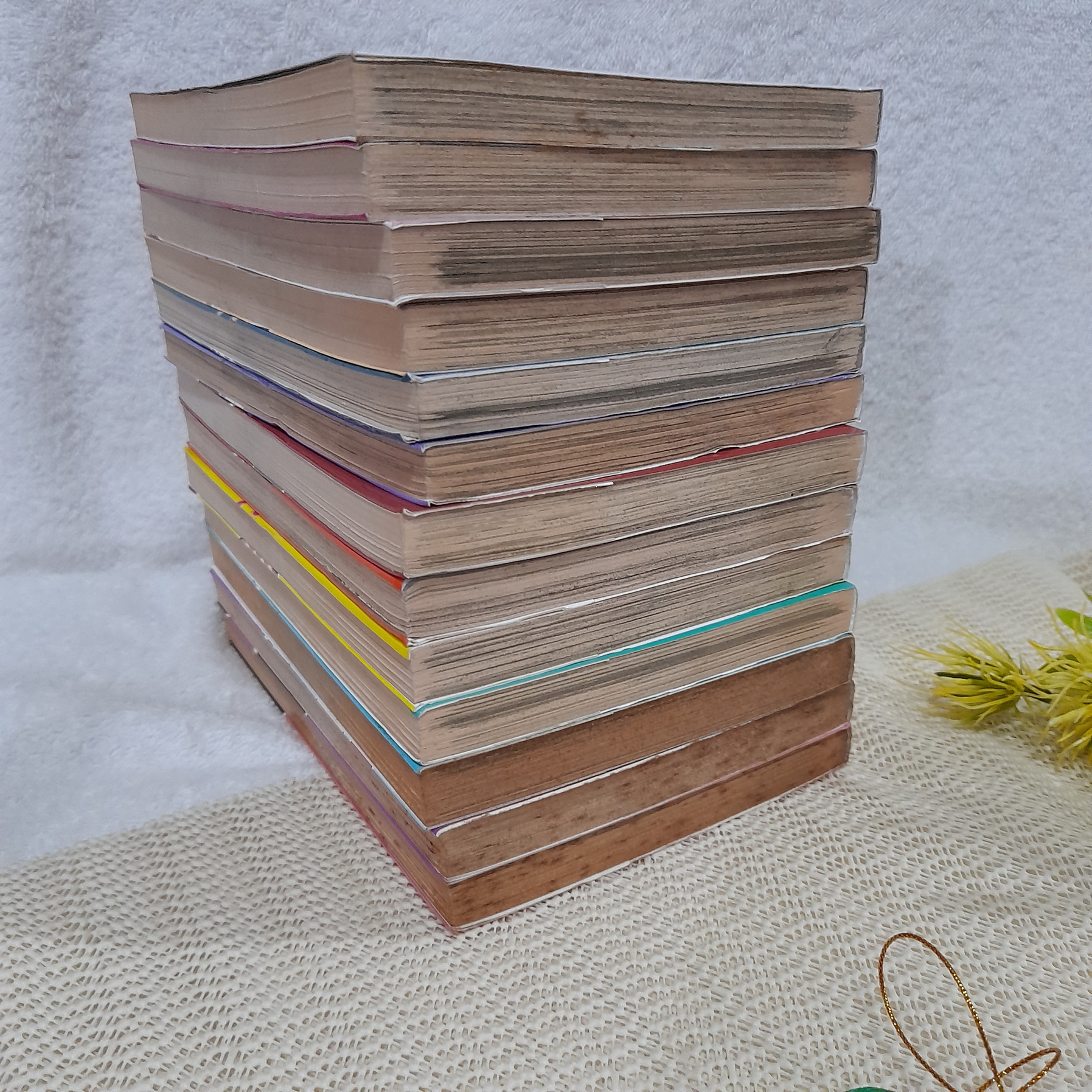 เจ้าชายปีศาจ อยากจะร้าย 1-13 ไม่จบ