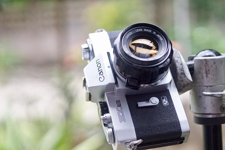 F1.8 Canon EX QL AUTO フィルムカメラ F1.8 Canon EX QL AUTO フィルムカメラ Canon EX Auto【完動品