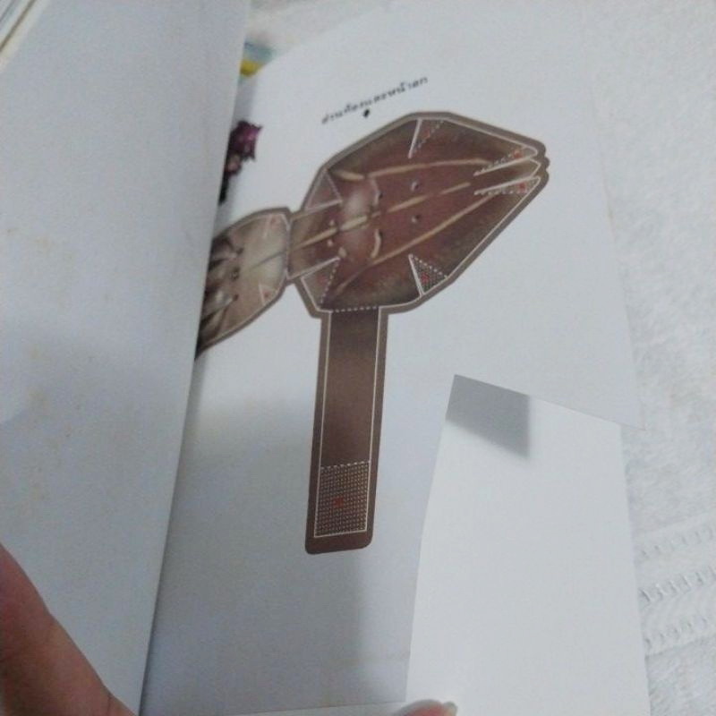 Bugs Bugs ศึกเวทย์มนตร์โรงเรียนแมลง 1-8 จบ