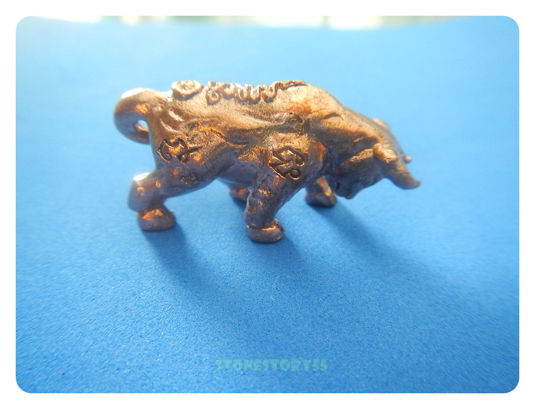 วัวธนูรุ่น1หลวงพ่อเพี้ยน วัดเกริ่นกฐิน