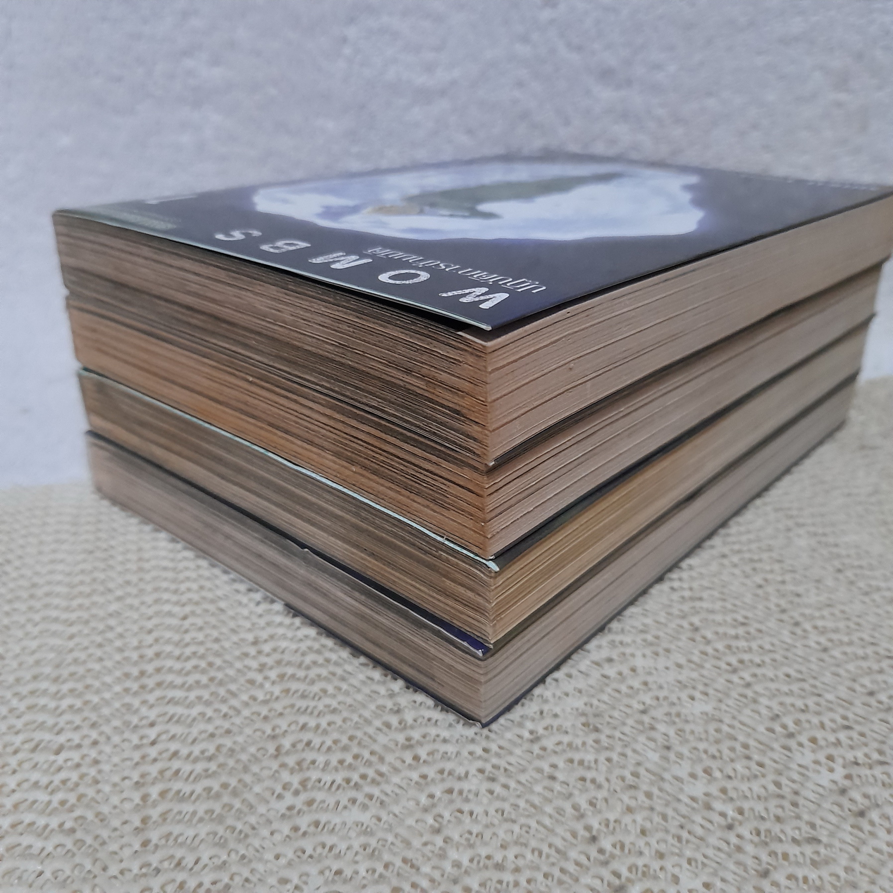 WOMBS ปฏิบัติการข้ามมิติ 1-4 ไม่จบ