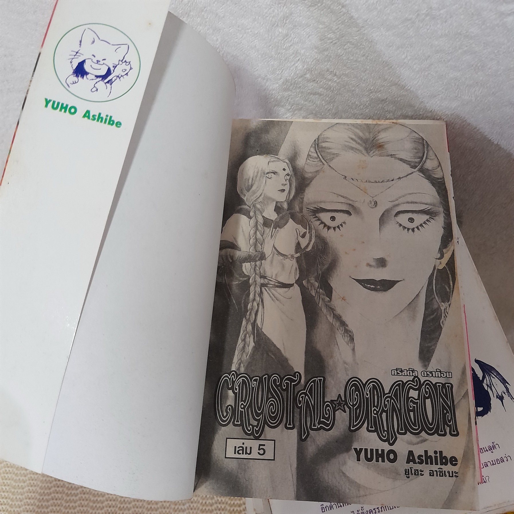 Crystal Dragon 1-25 (ไม่จบ) / Yuho Ashibe