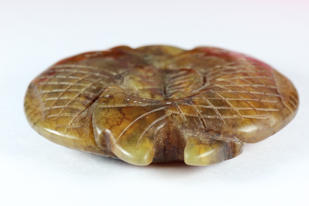 ปลาหยินหยาง