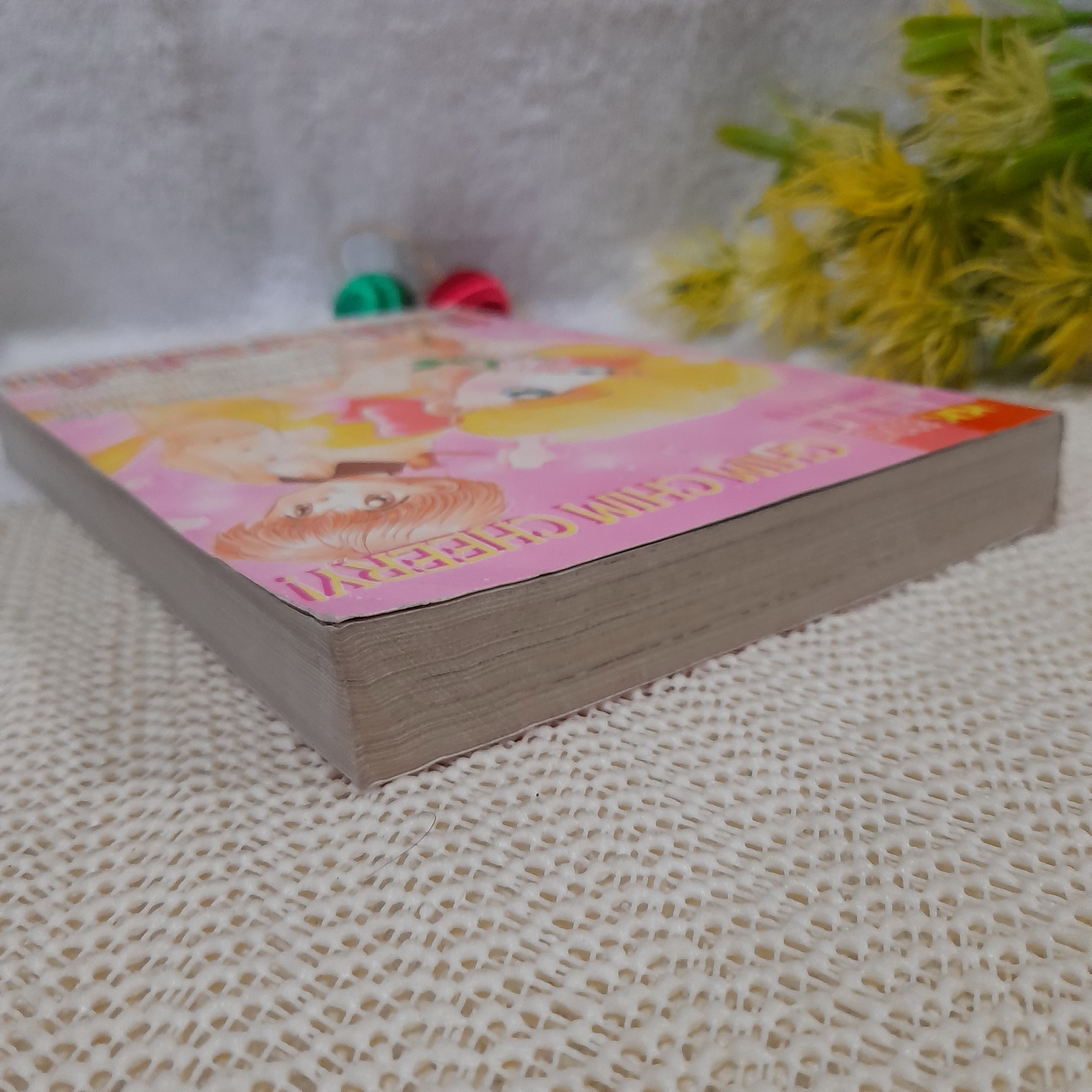 ข้ามฟ้ามาแต้มฝัน