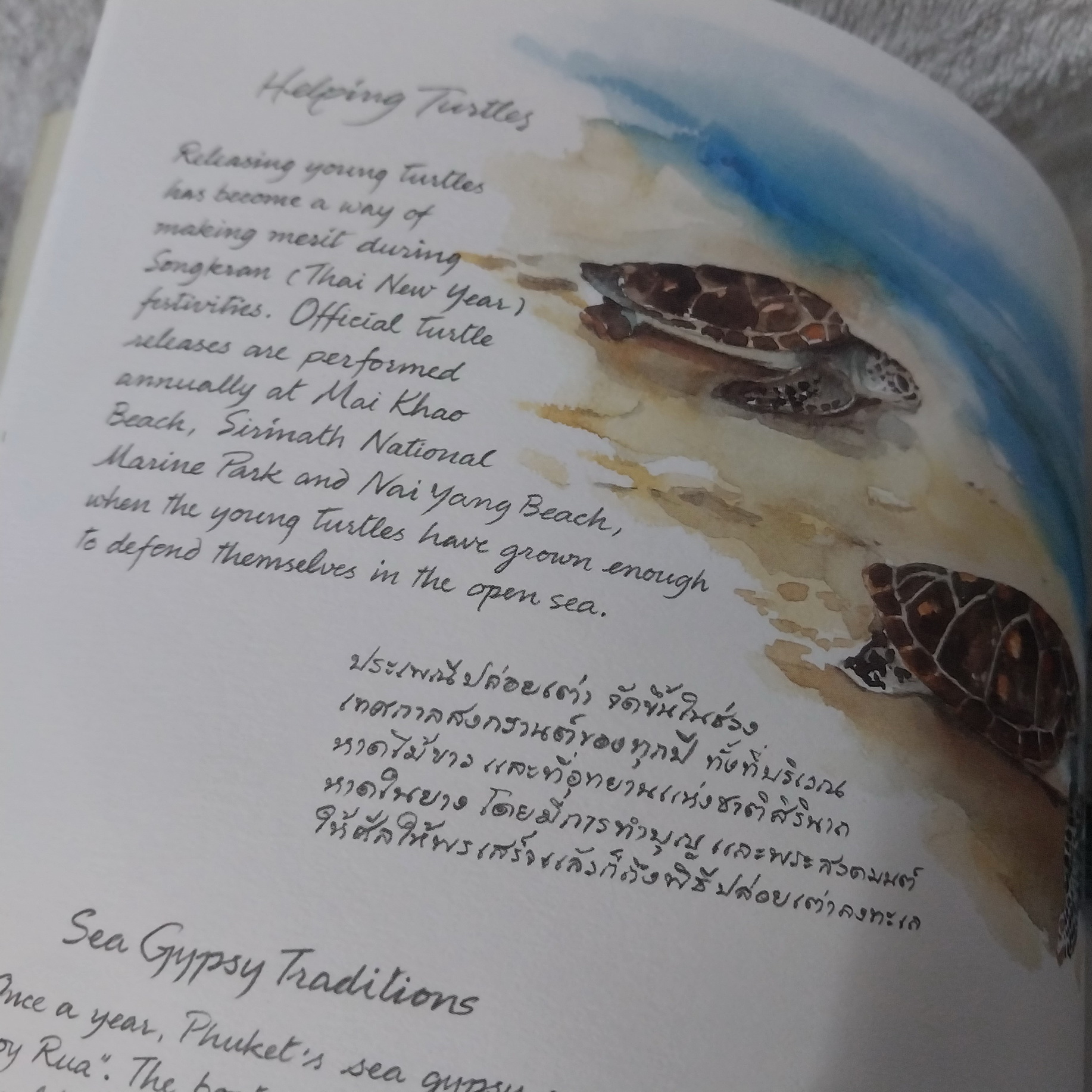 Phuket a Watercolour Painting Book หนังสือภาพวาดสีน้ำภูเก็ต / ทวีพงษ์ ลิมมากร