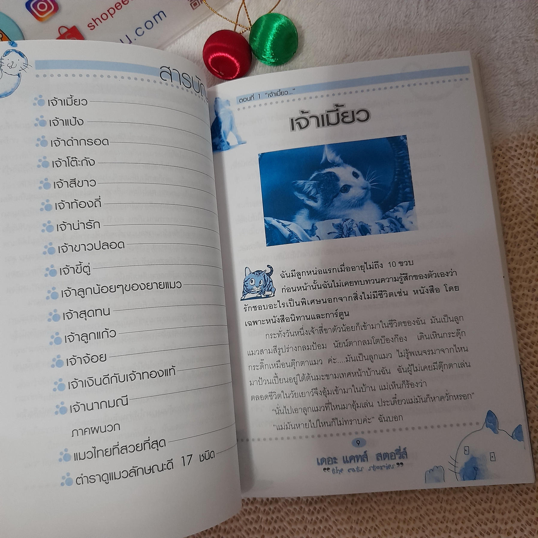 เดอะ แคทส์ สตอรี่