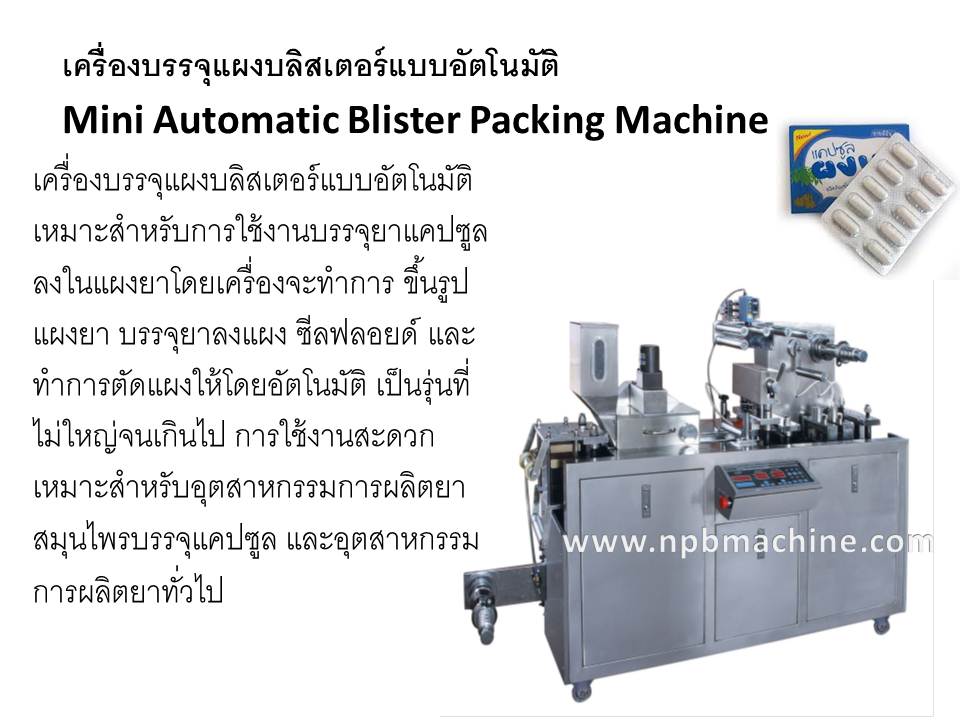 เครื่องบรรจุแผงบลิสเตอร์แบบอัตโนมัติ