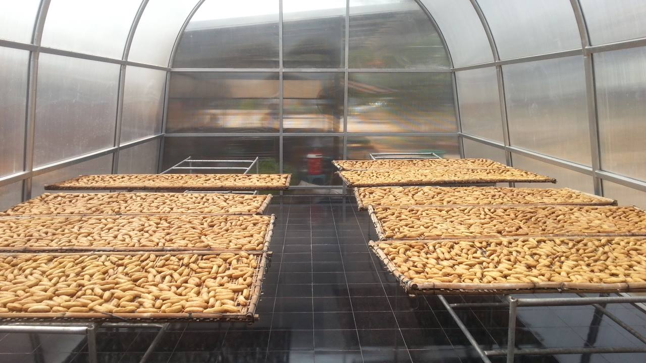 กล้วยตาก(กล้วยน้ำว้า)(200g.) กล้วยตากสังคม