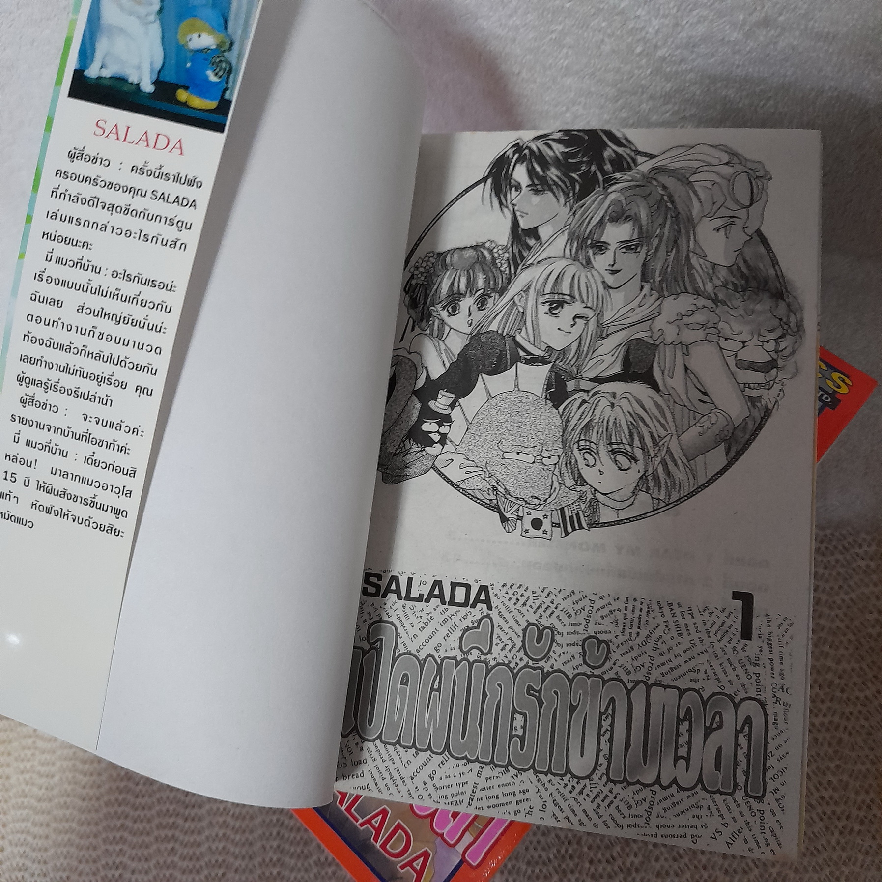 เปิดผนึกรักข้ามเวลา 1-10 จบ / SALADA