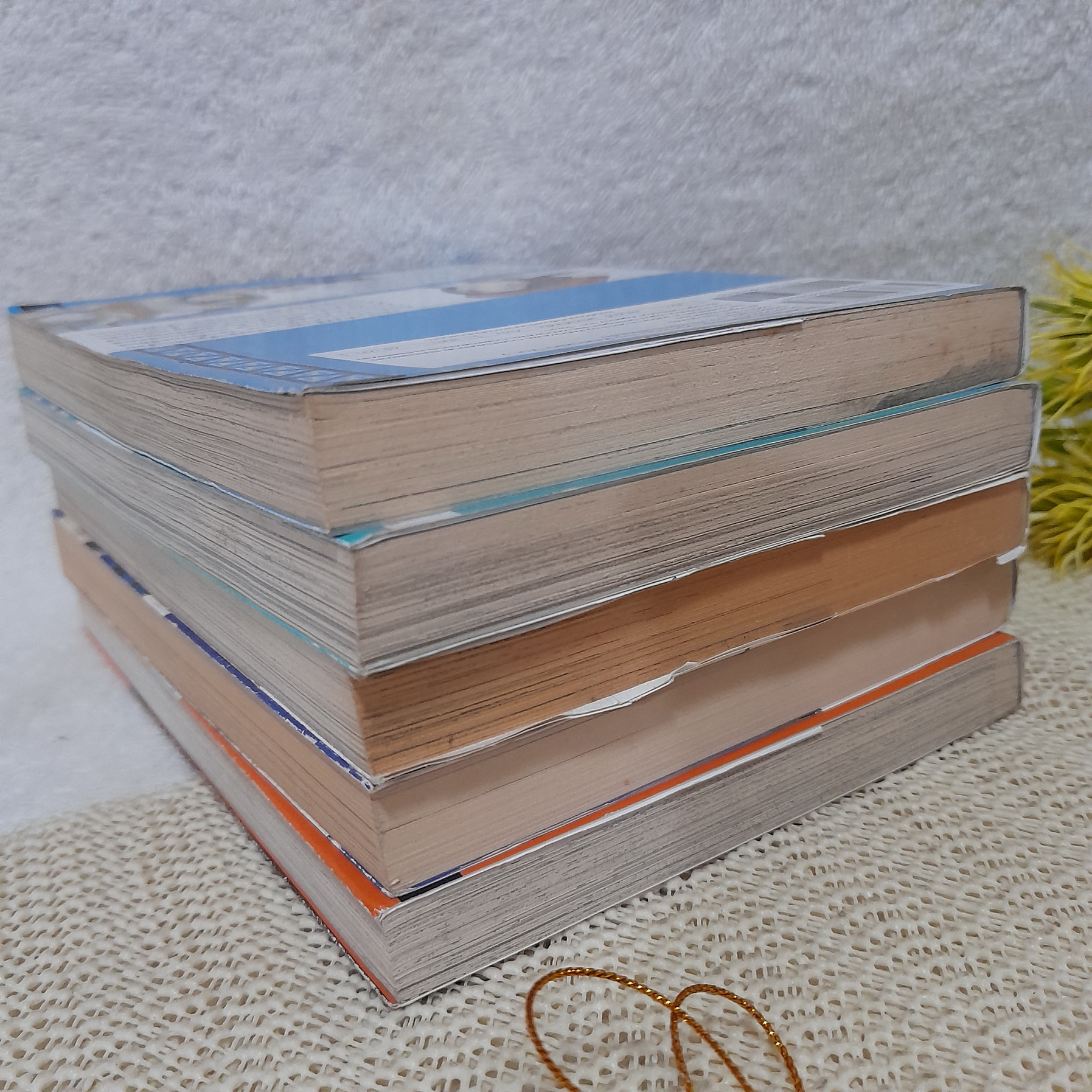 Monster Hunter นักล่าแห่งแสงสว่าง เล่ม 1-5,7 ไม่จบ / * ขาดเล่ม 6,8-10