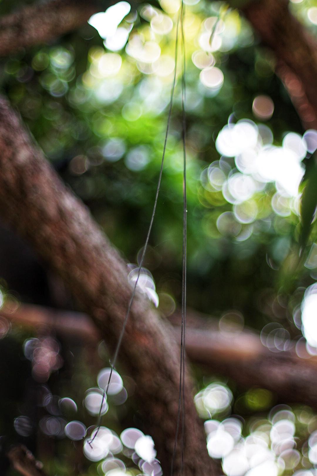 SMC TAKUMAR 50MM.F1.4 M42 MOUNT