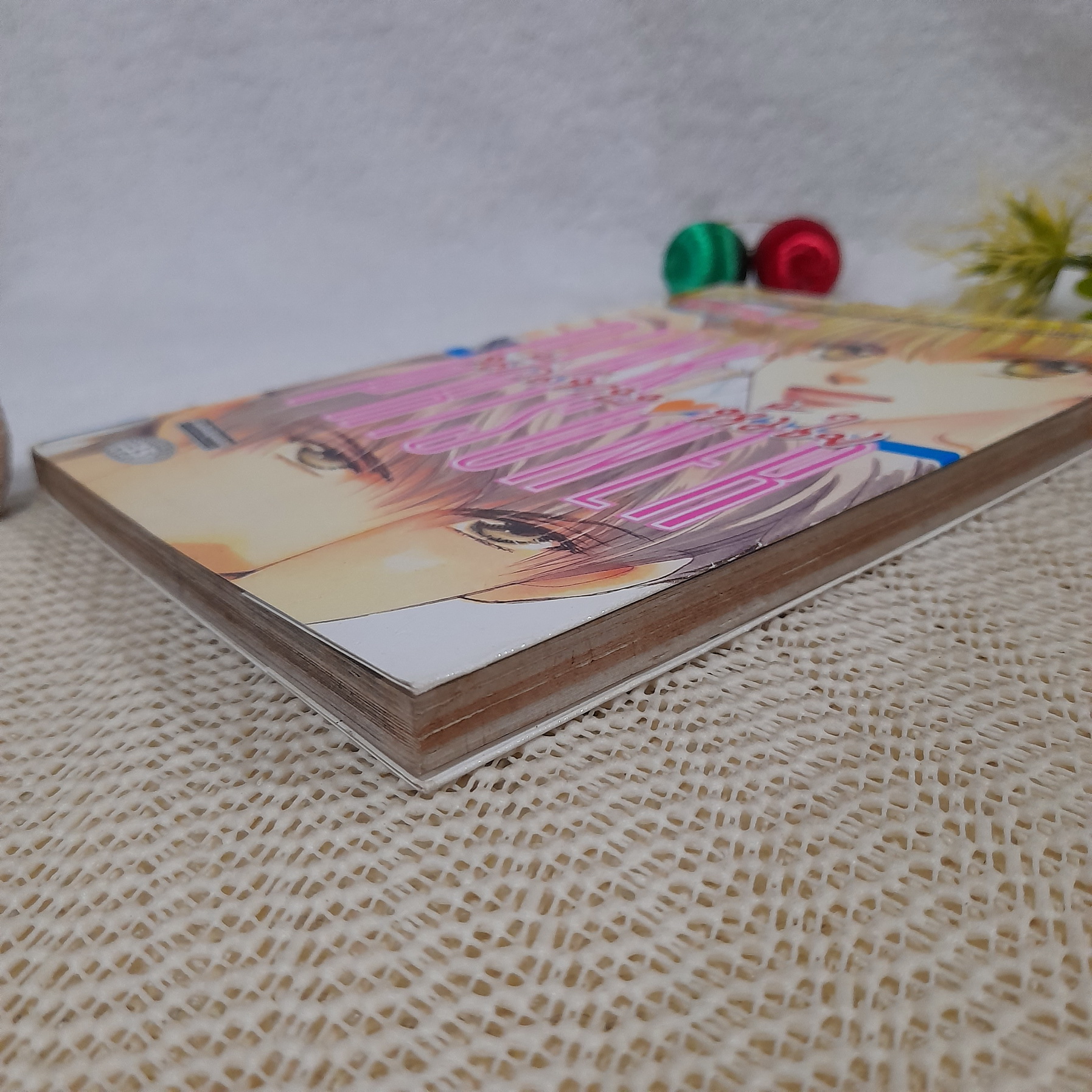 Pink Prisoner นักโทษหัวใจ / Ohya Kasumi