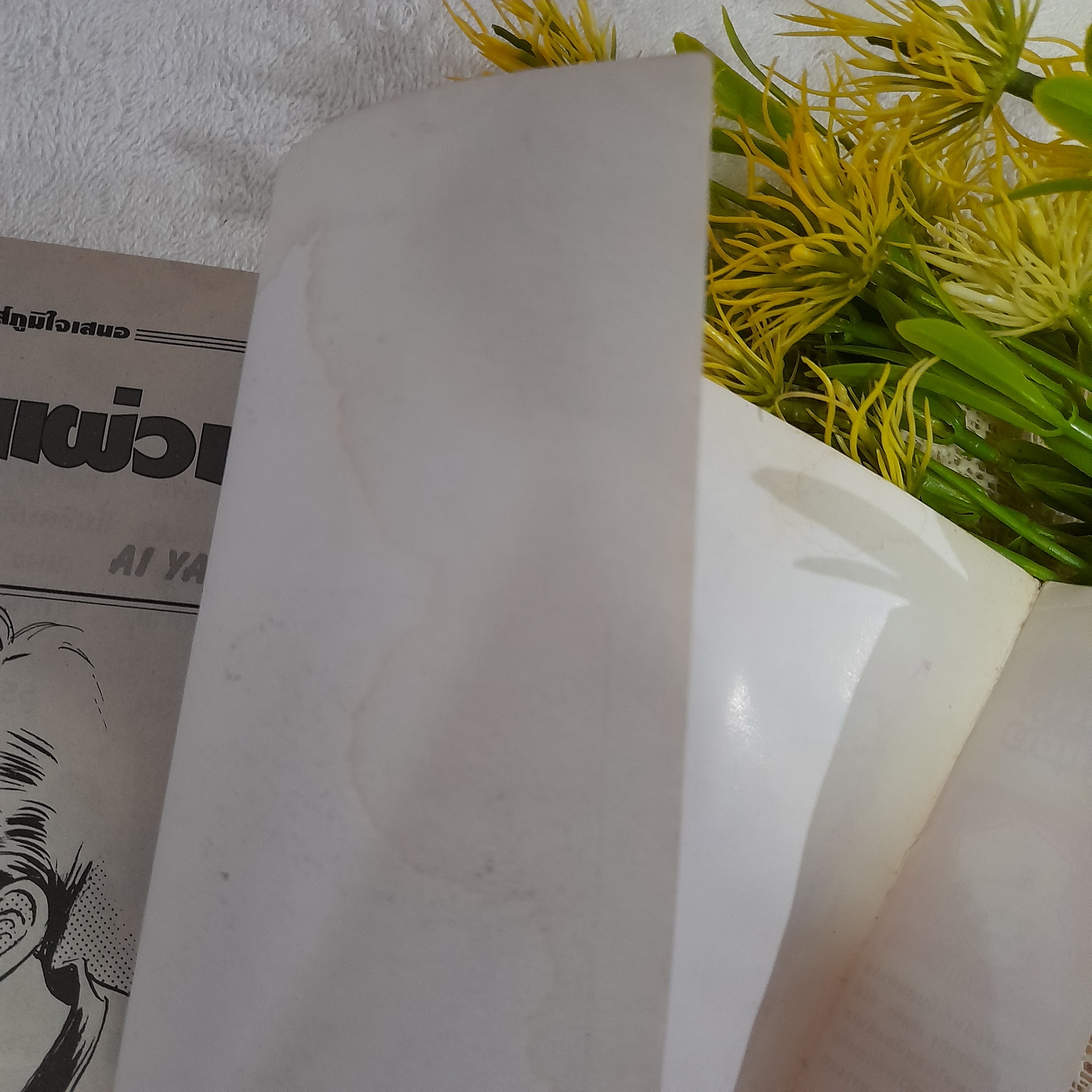 พายุที่แผ่วเบา / Ai Yazawa