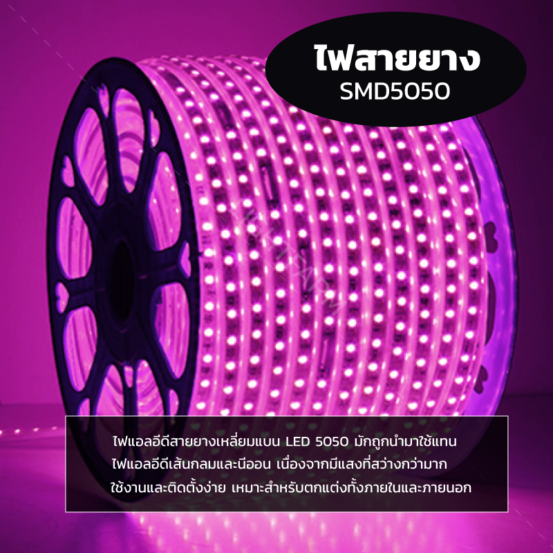 ไฟสายยาง SMD 5050 (100 m.) สีชมพู (ท่อแบน)