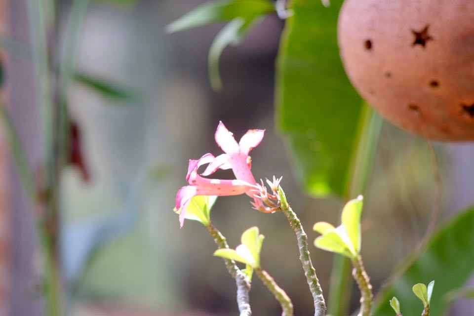SUPER TAKUMAR 200MM.F4 M42 MOUNT
