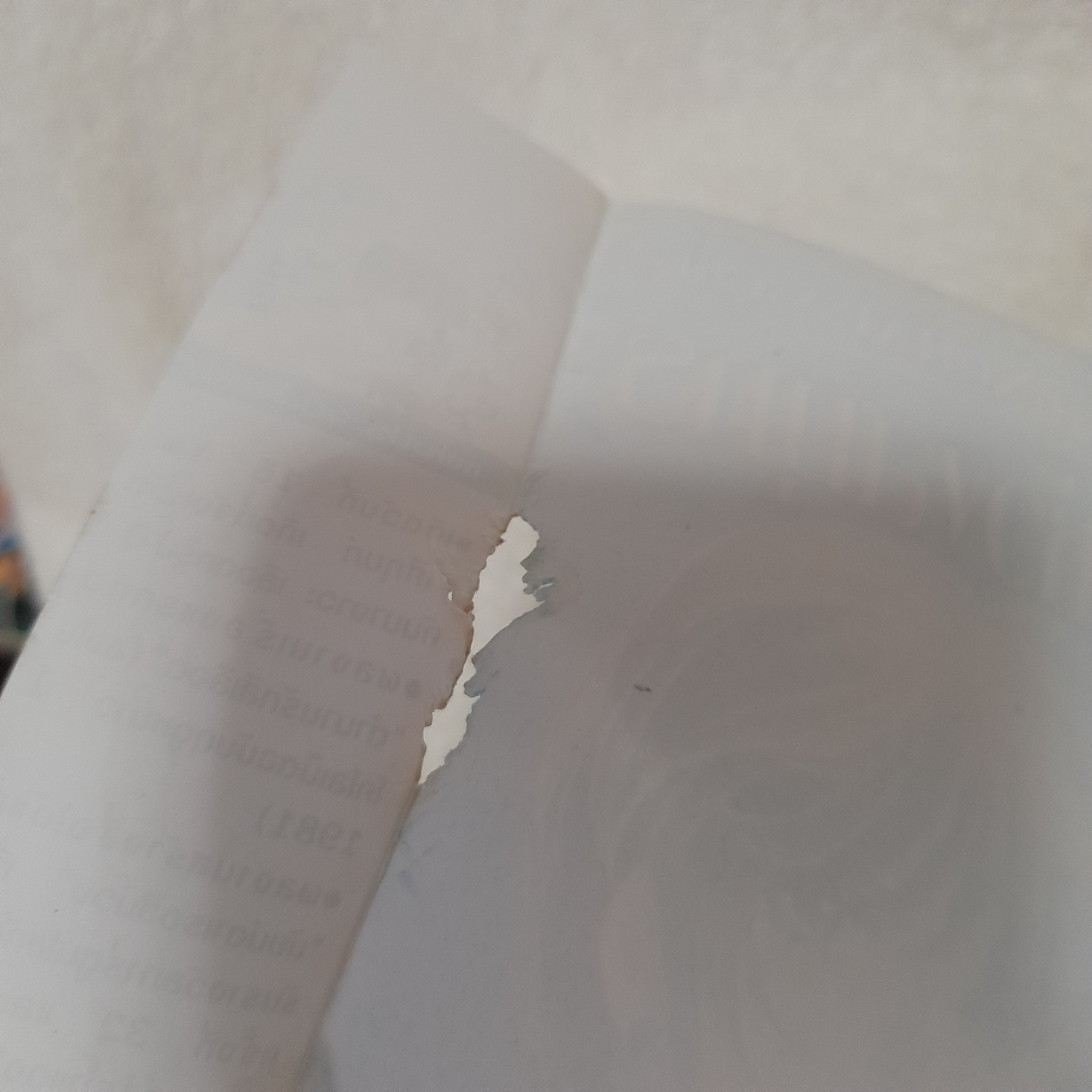 ปักษาสู่ห้วงสมุทร / Shinohara Chie