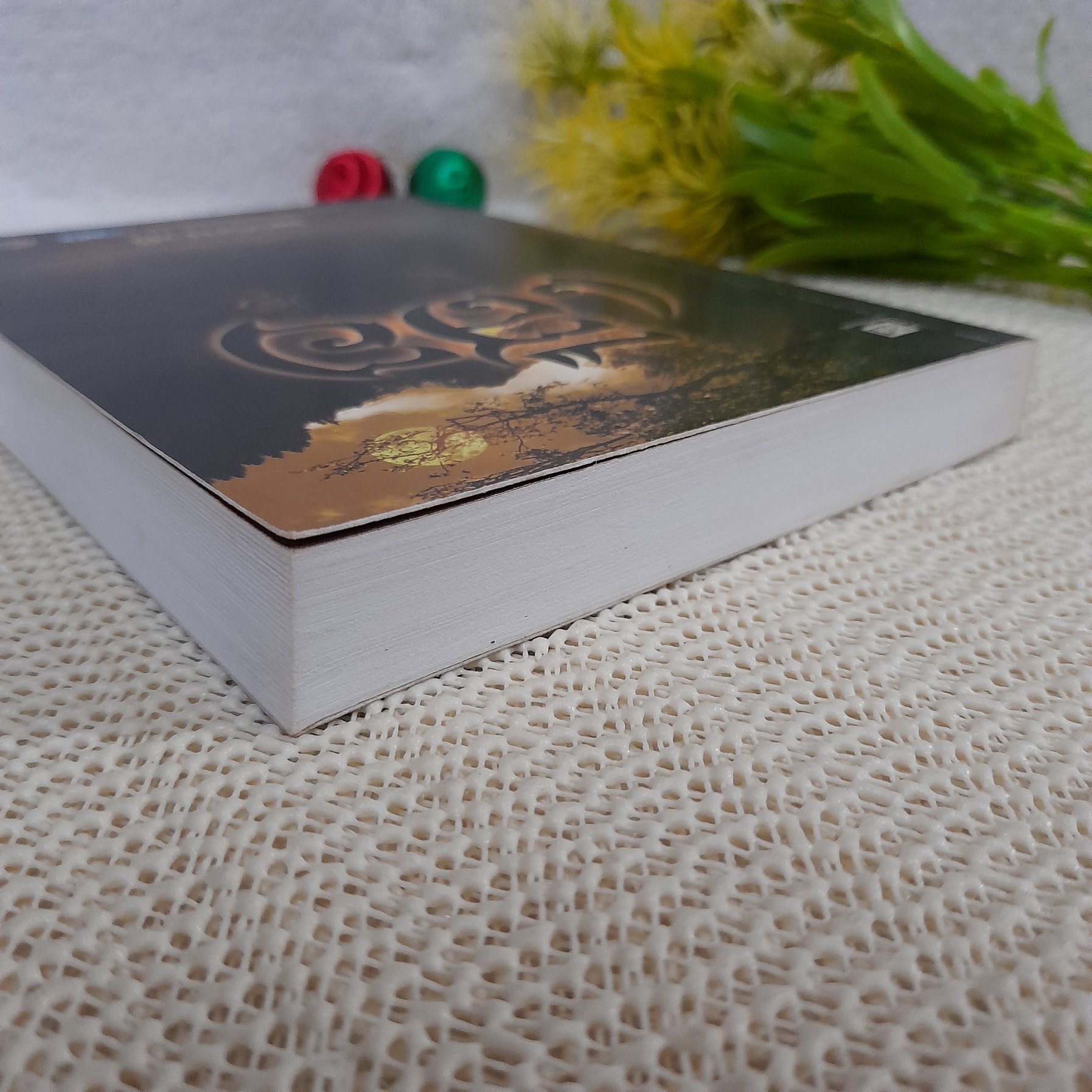 เสือ / พรรณวดี